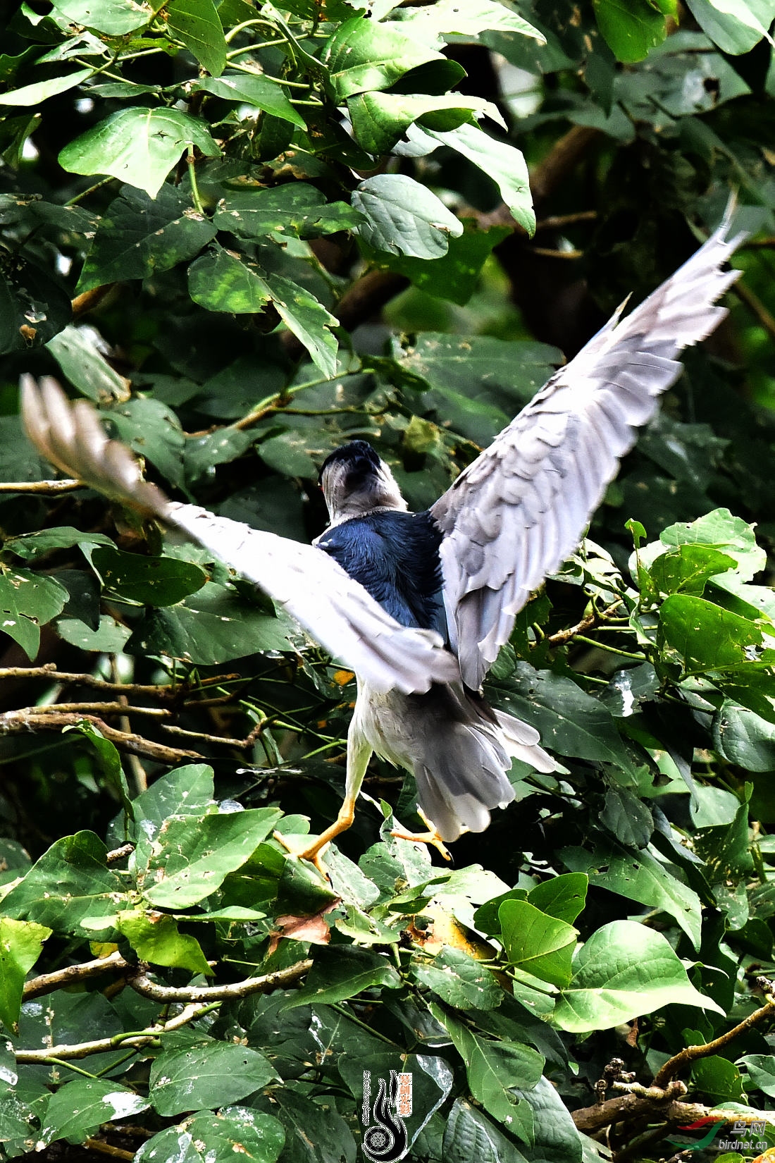 DSC_3629.JPG