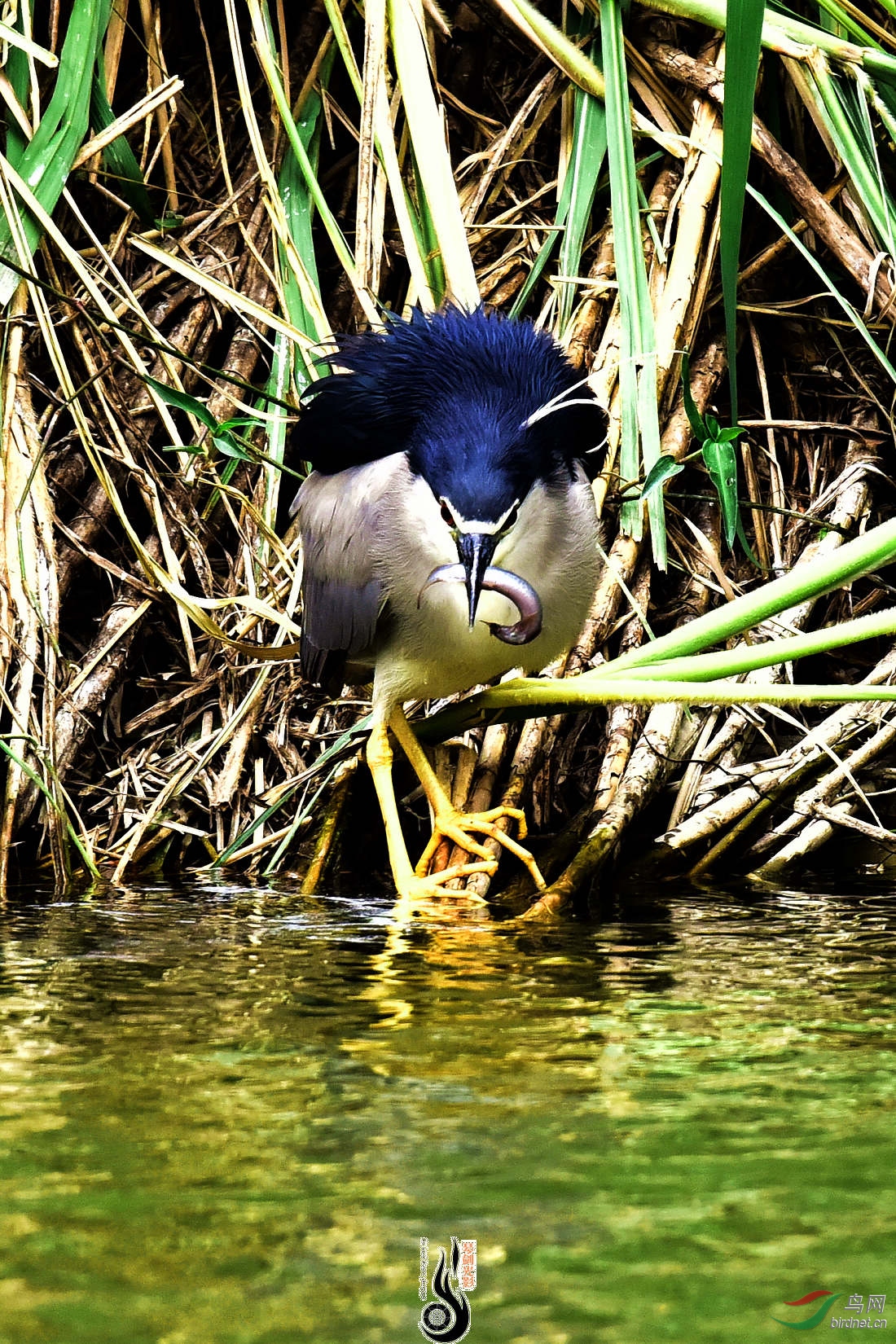 DSC_3632.JPG