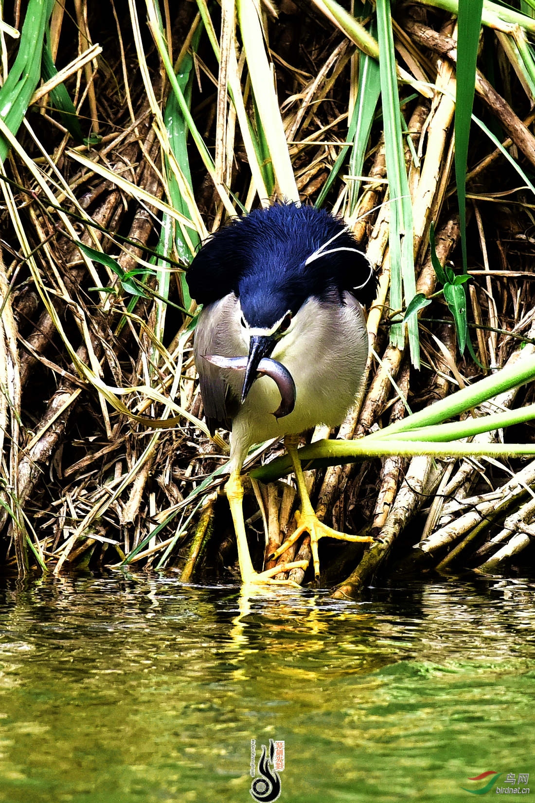 DSC_3635.JPG