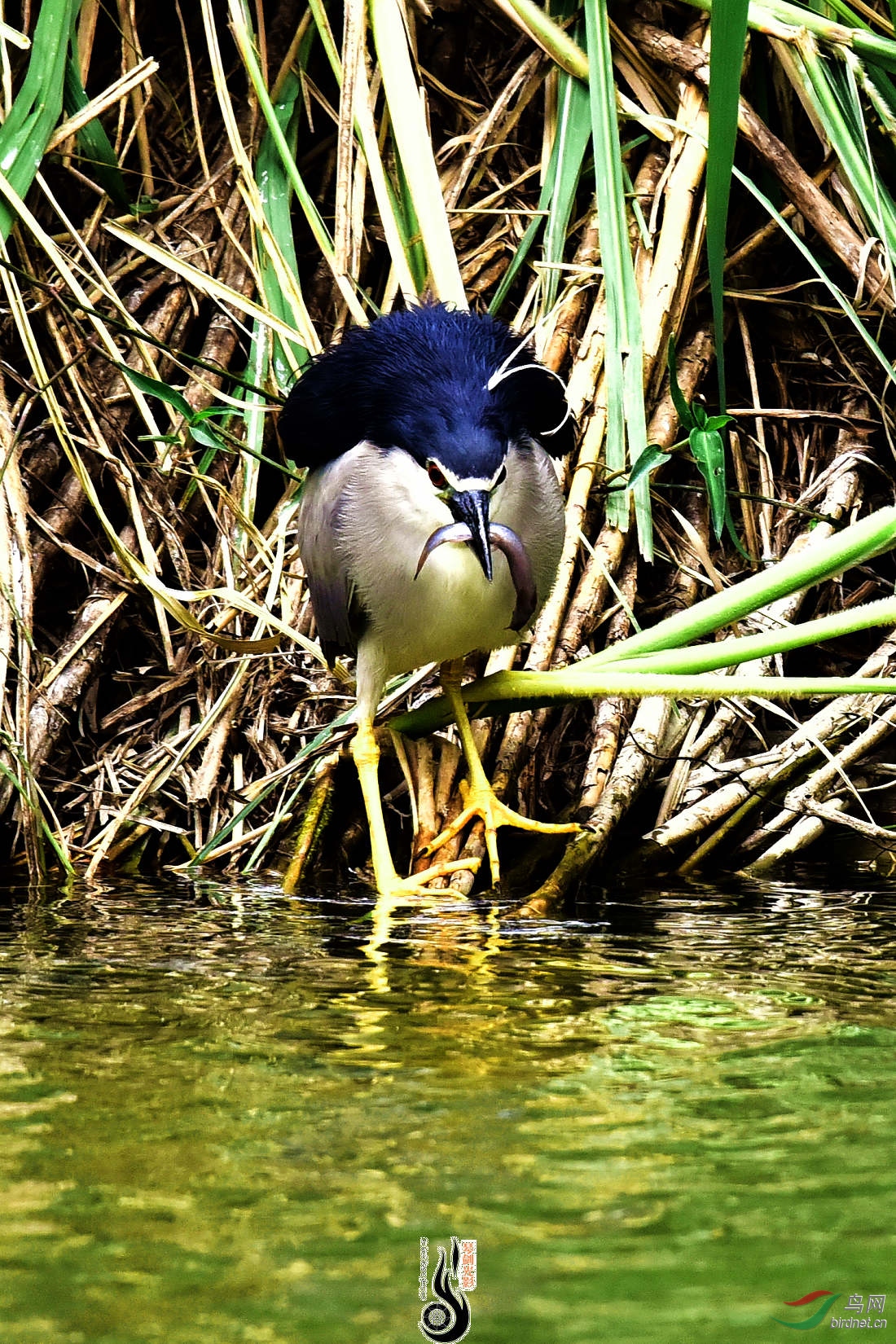 DSC_3636.JPG