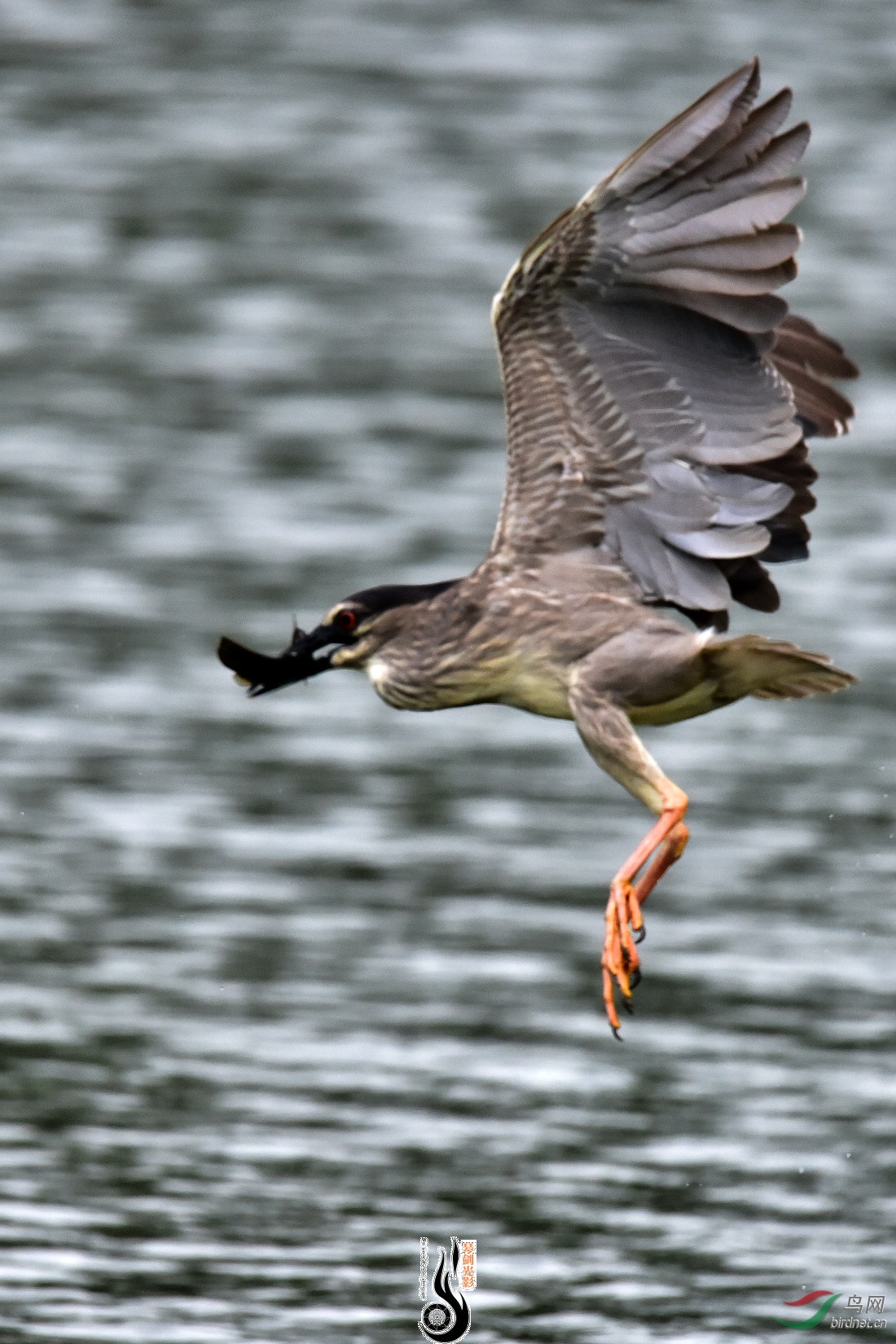 DSC_3639.JPG