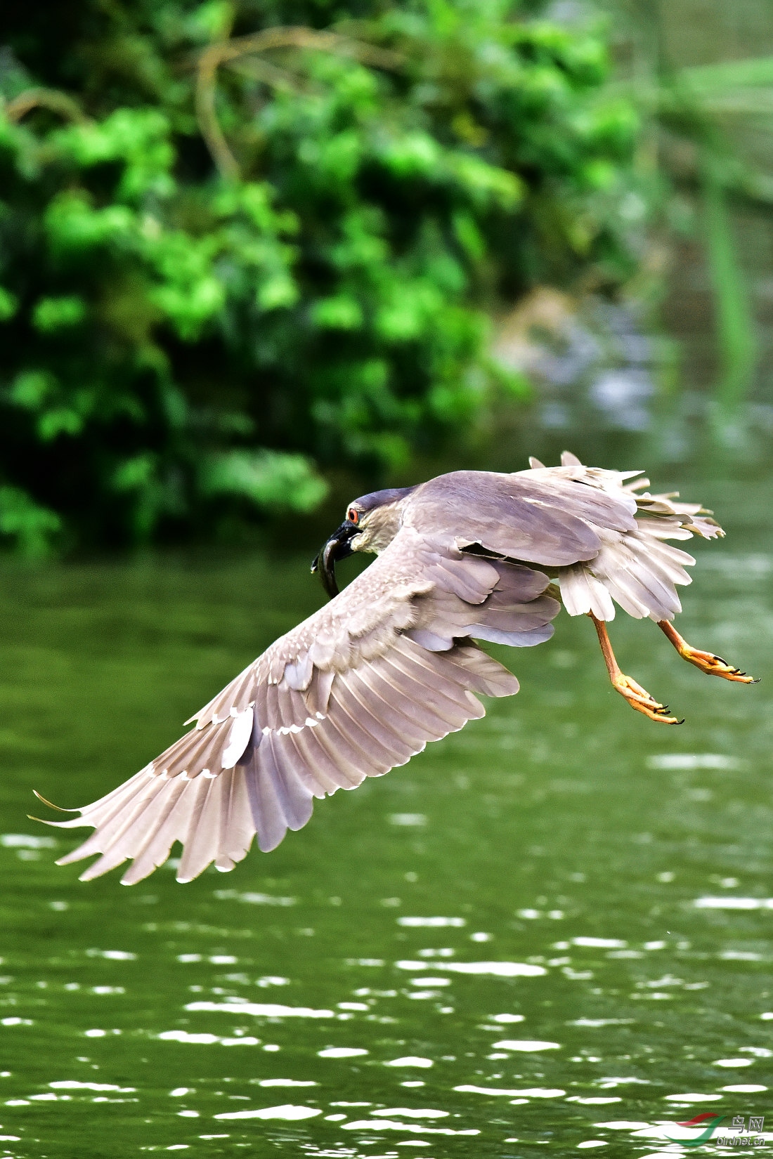 DSC_3643.JPG