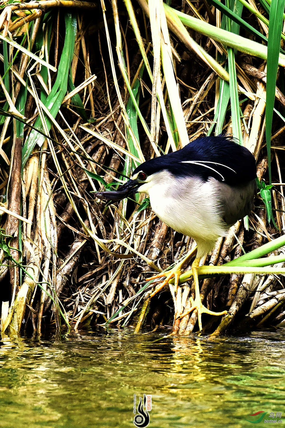 DSC_3649.JPG
