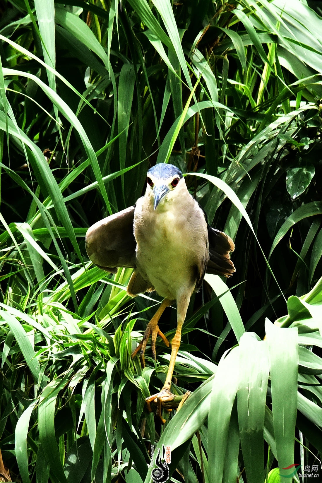 DSC_3666.JPG