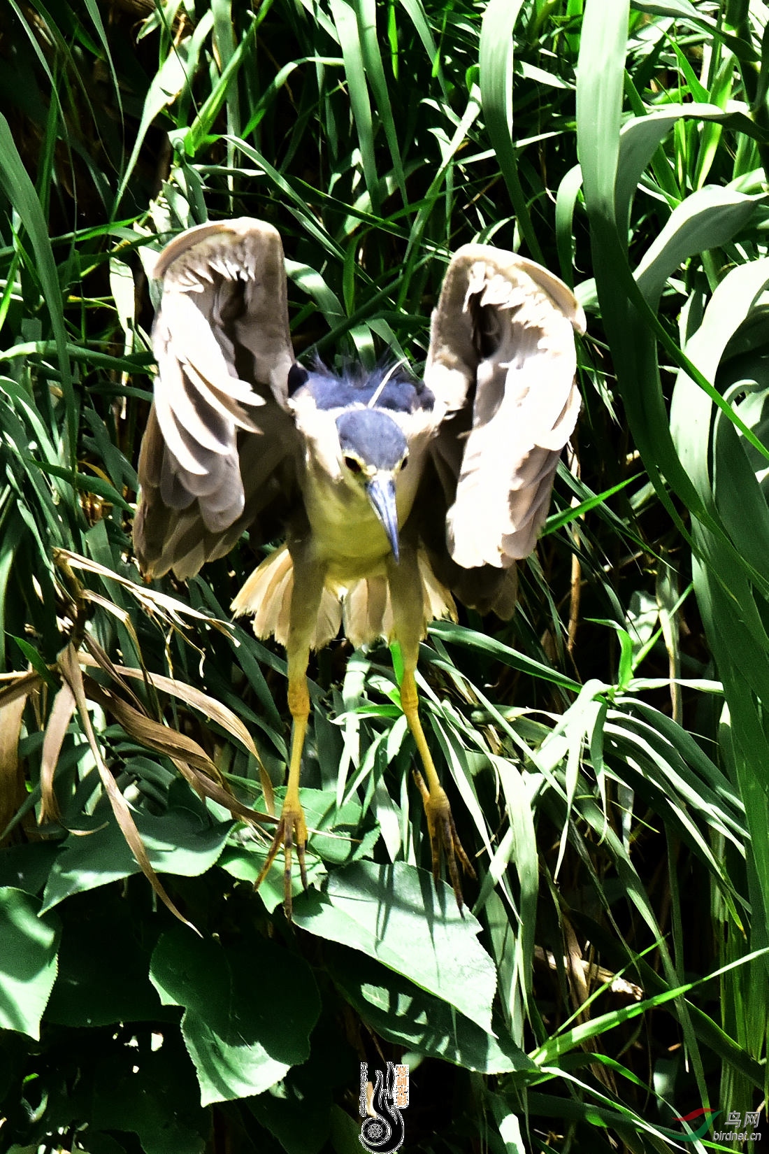 DSC_3673.JPG