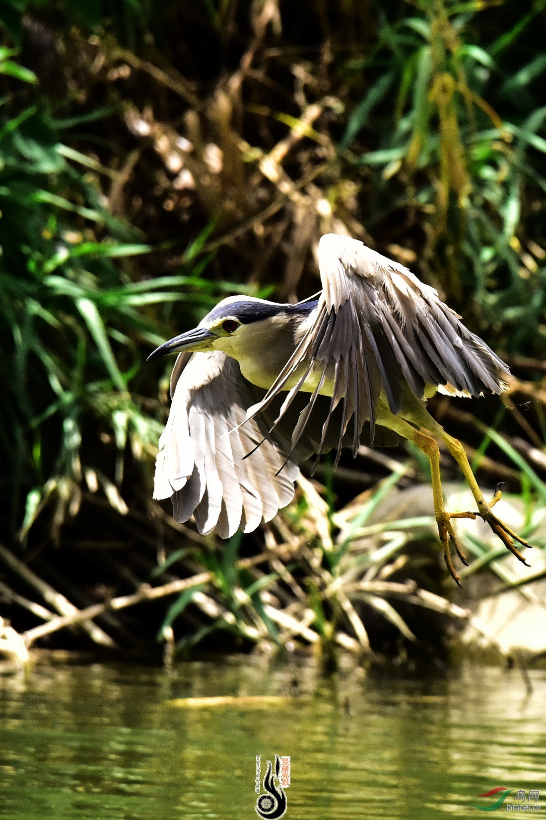 DSC_3680.JPG