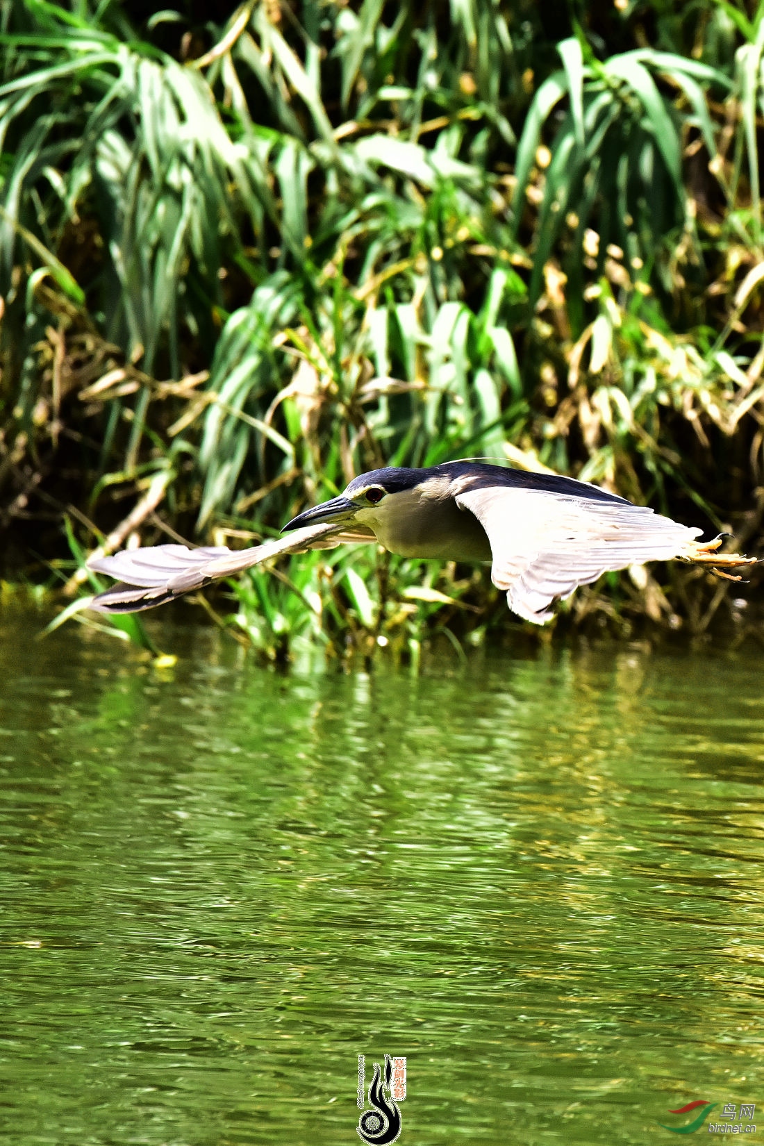 DSC_3685.JPG
