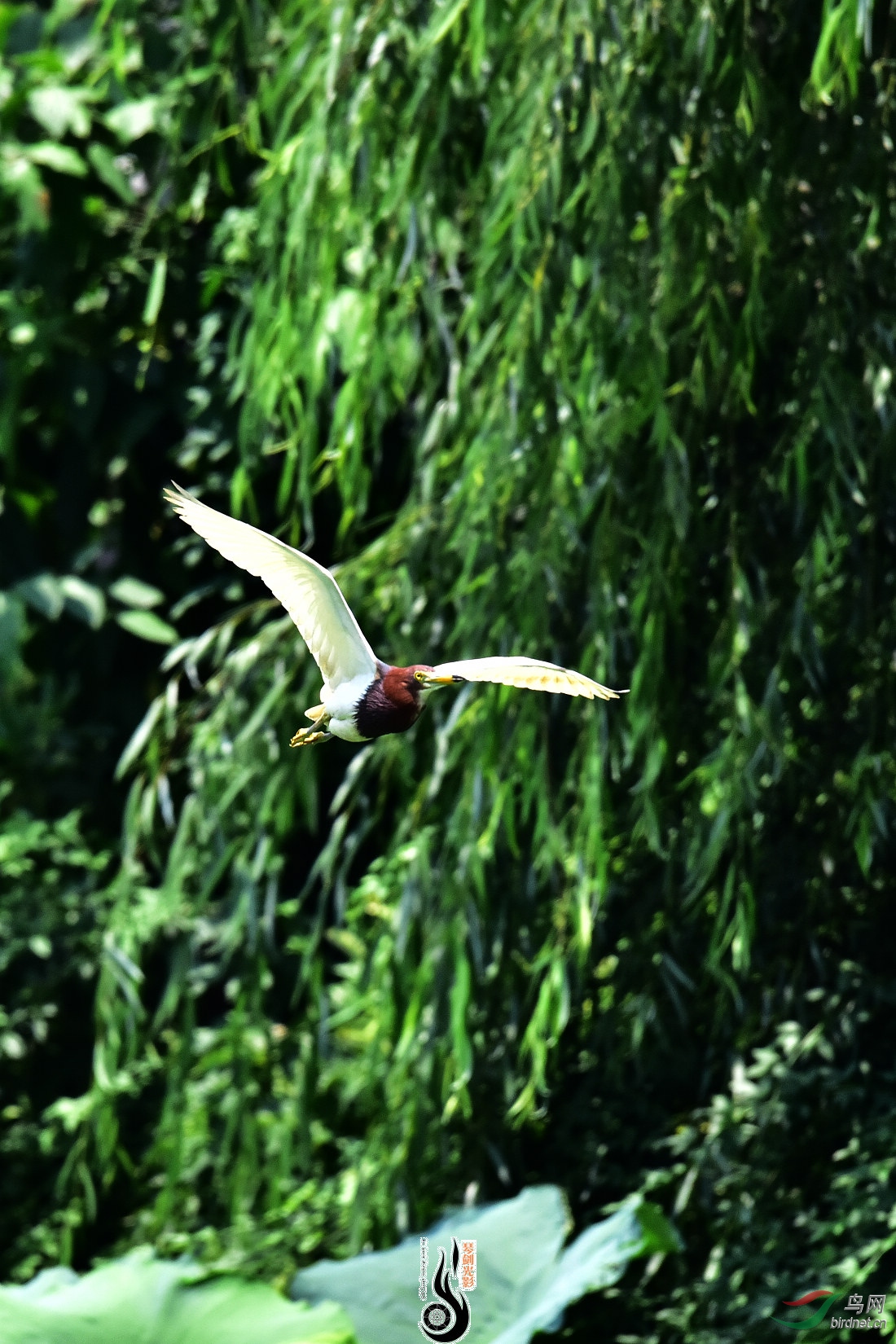 DSC_3686.JPG