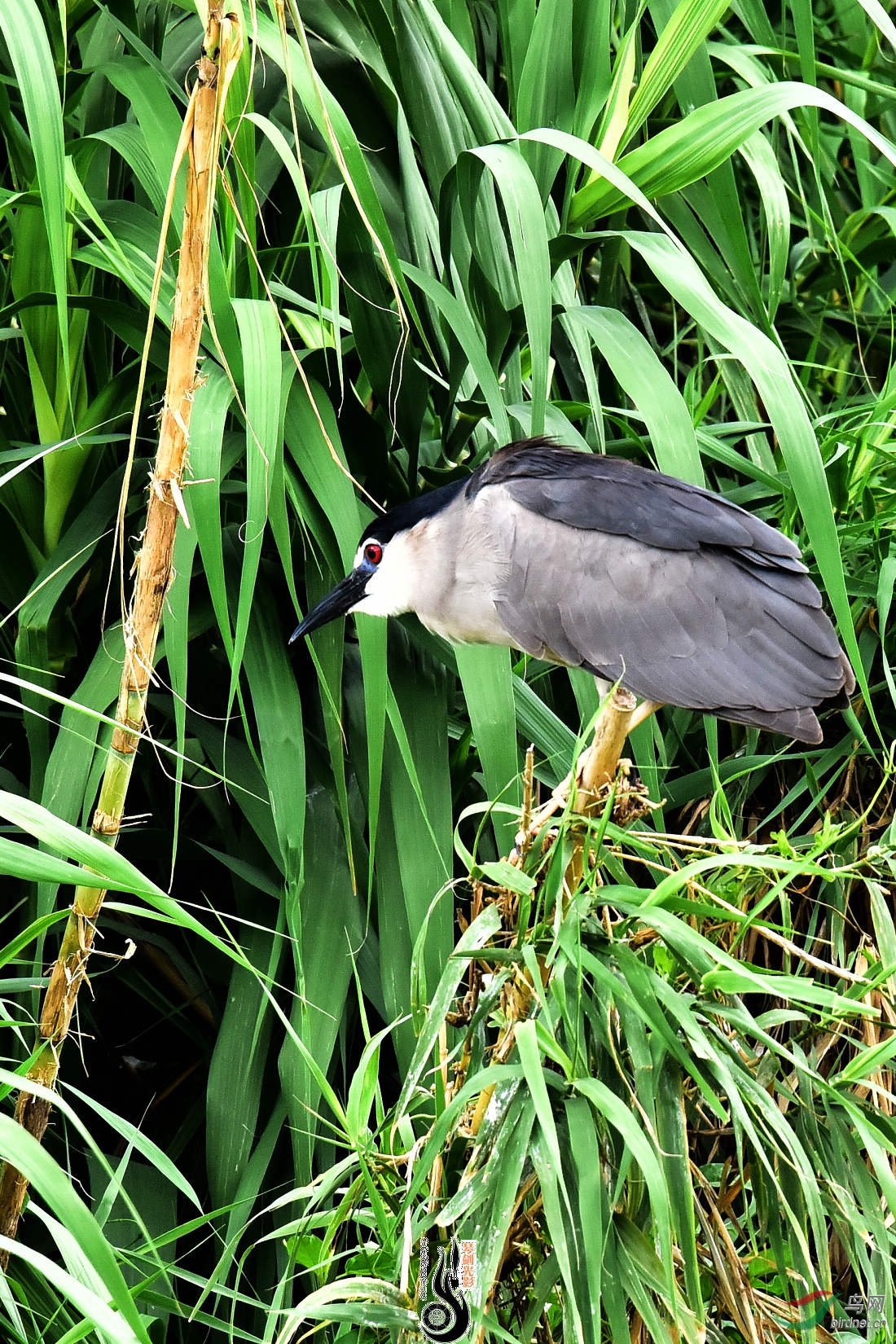 DSC_3691.JPG