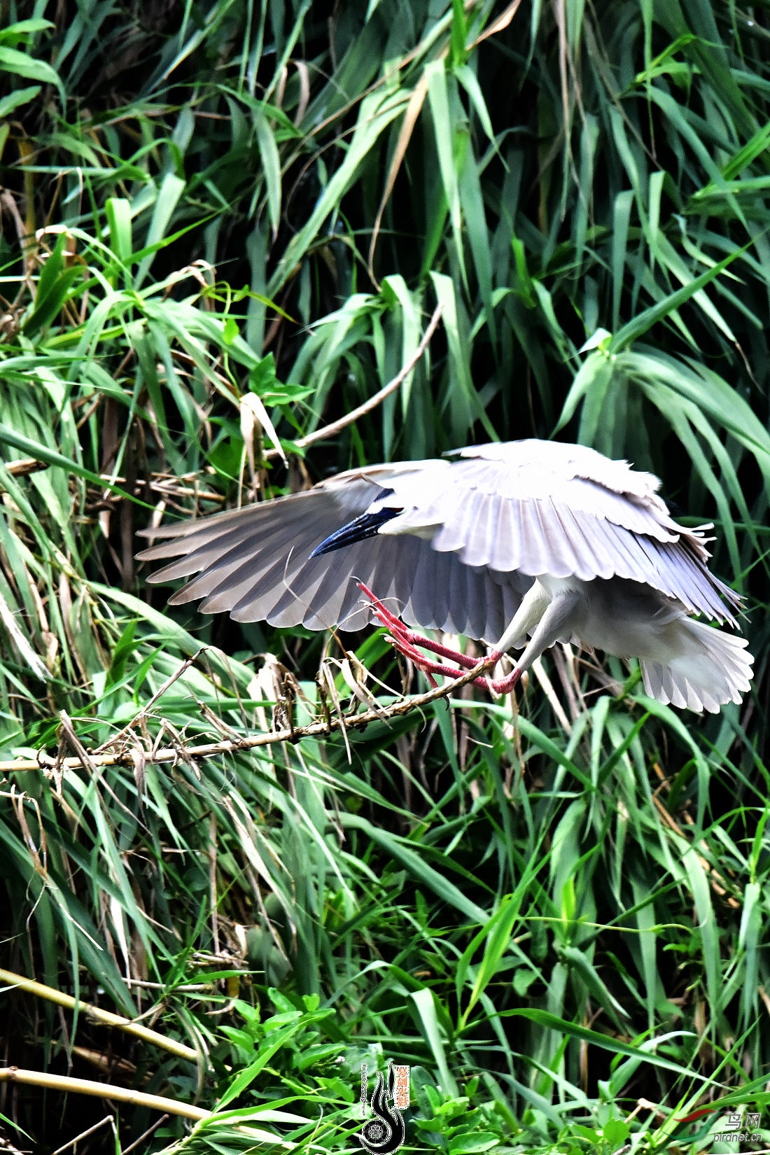 DSC_3706.JPG