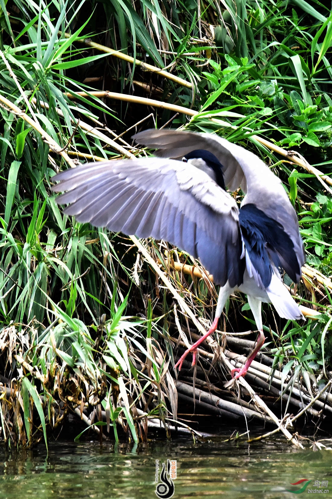 DSC_3710.JPG