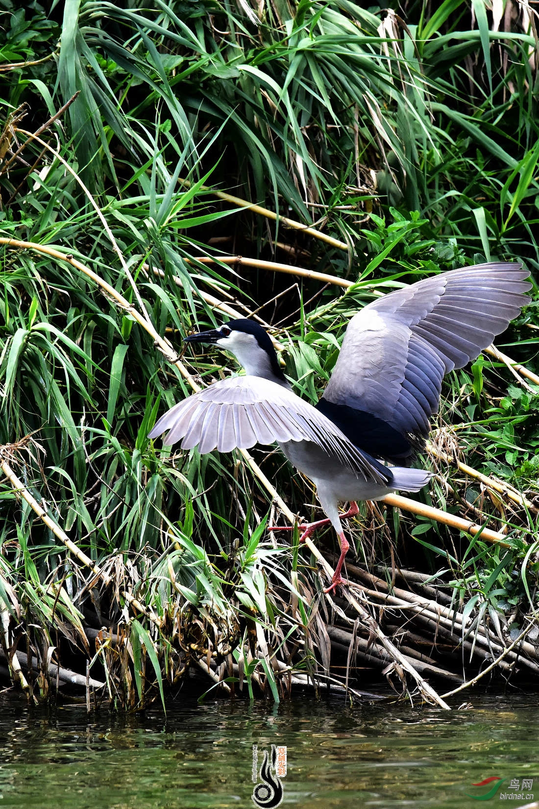 DSC_3713.JPG
