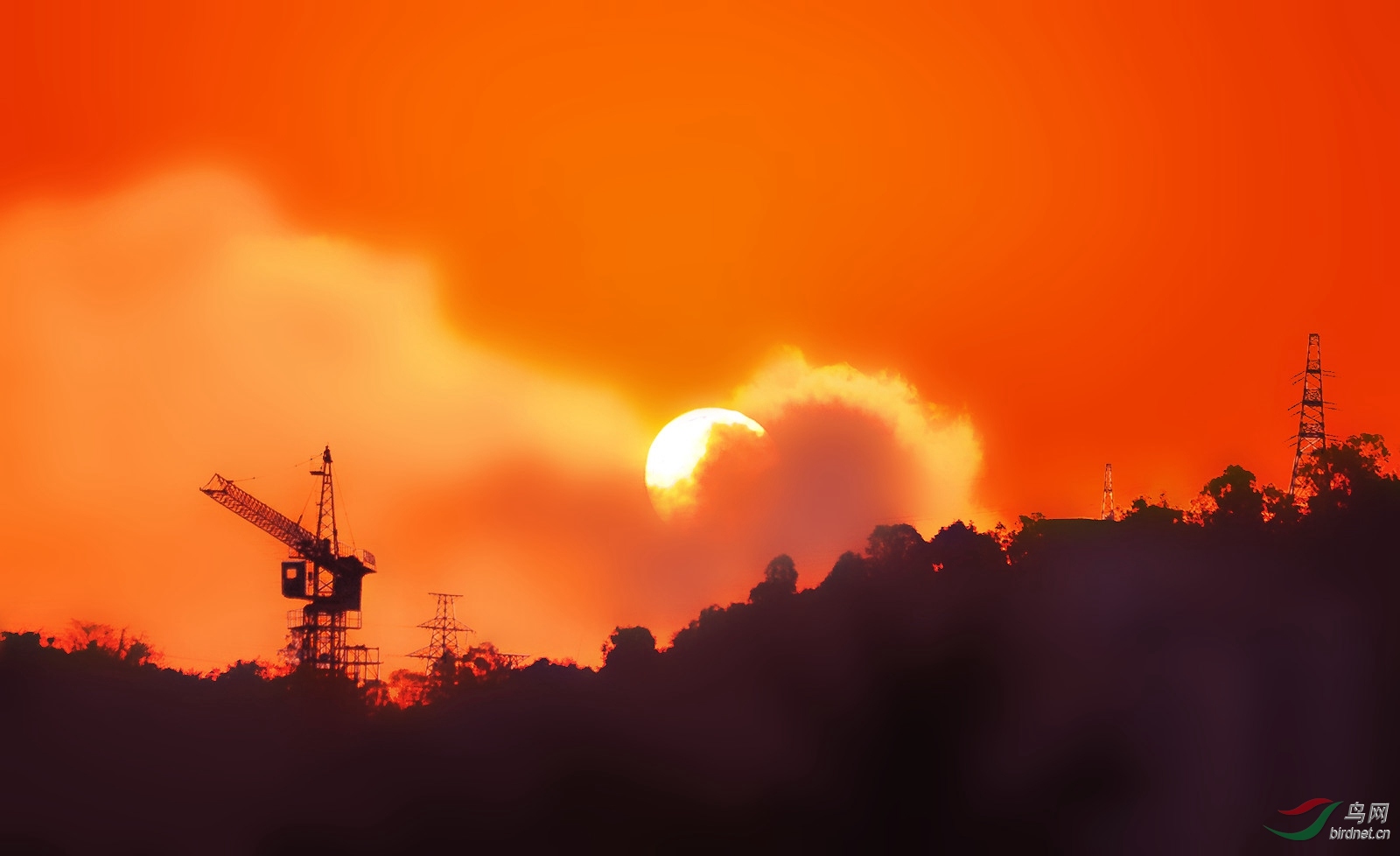 蒸蒸日上【祝贺荣获首页综合精华】