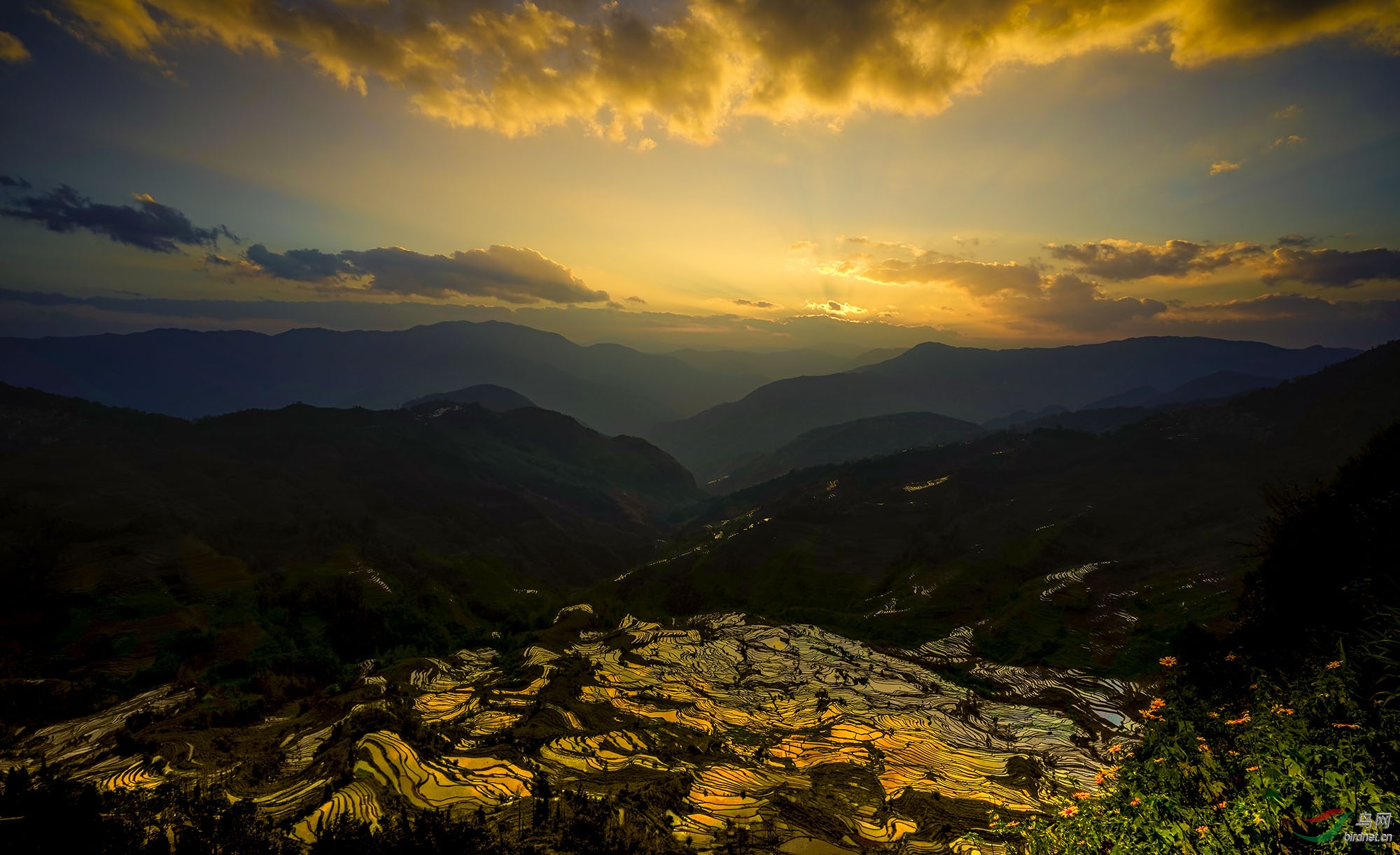 夕阳下的元阳老虎嘴梯田