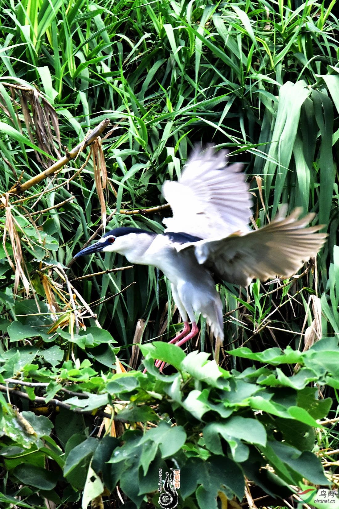 DSC_3720.JPG