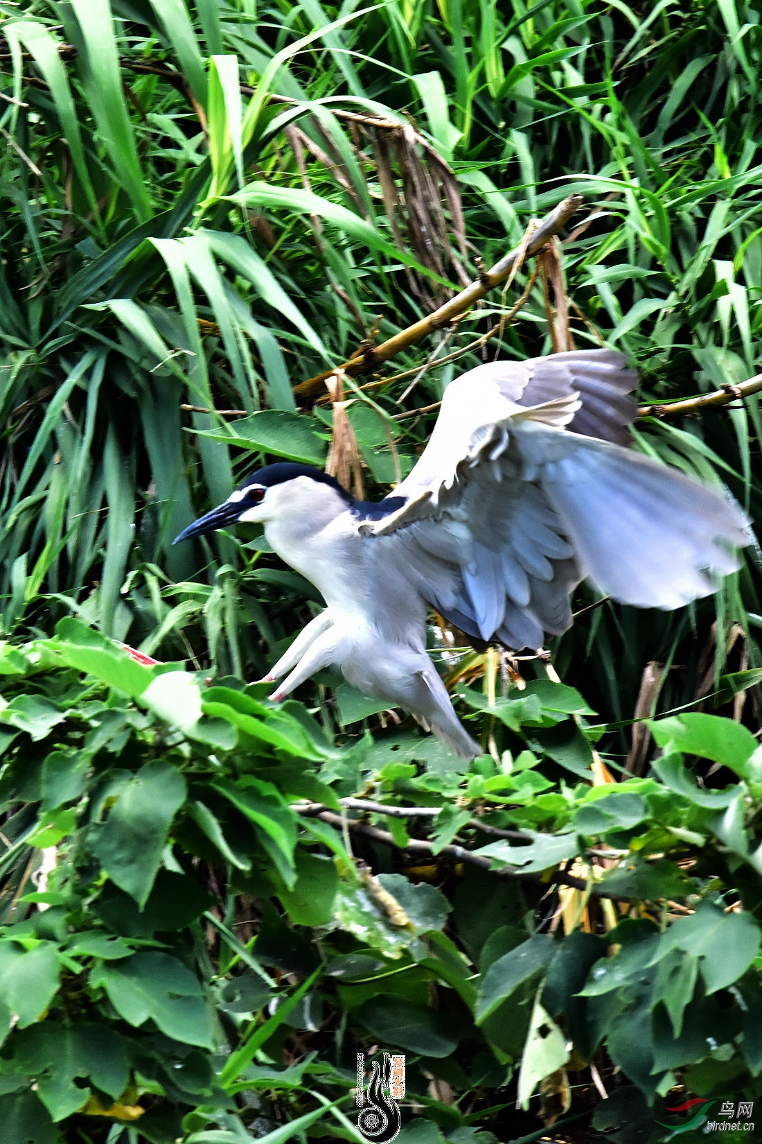 DSC_3721.JPG