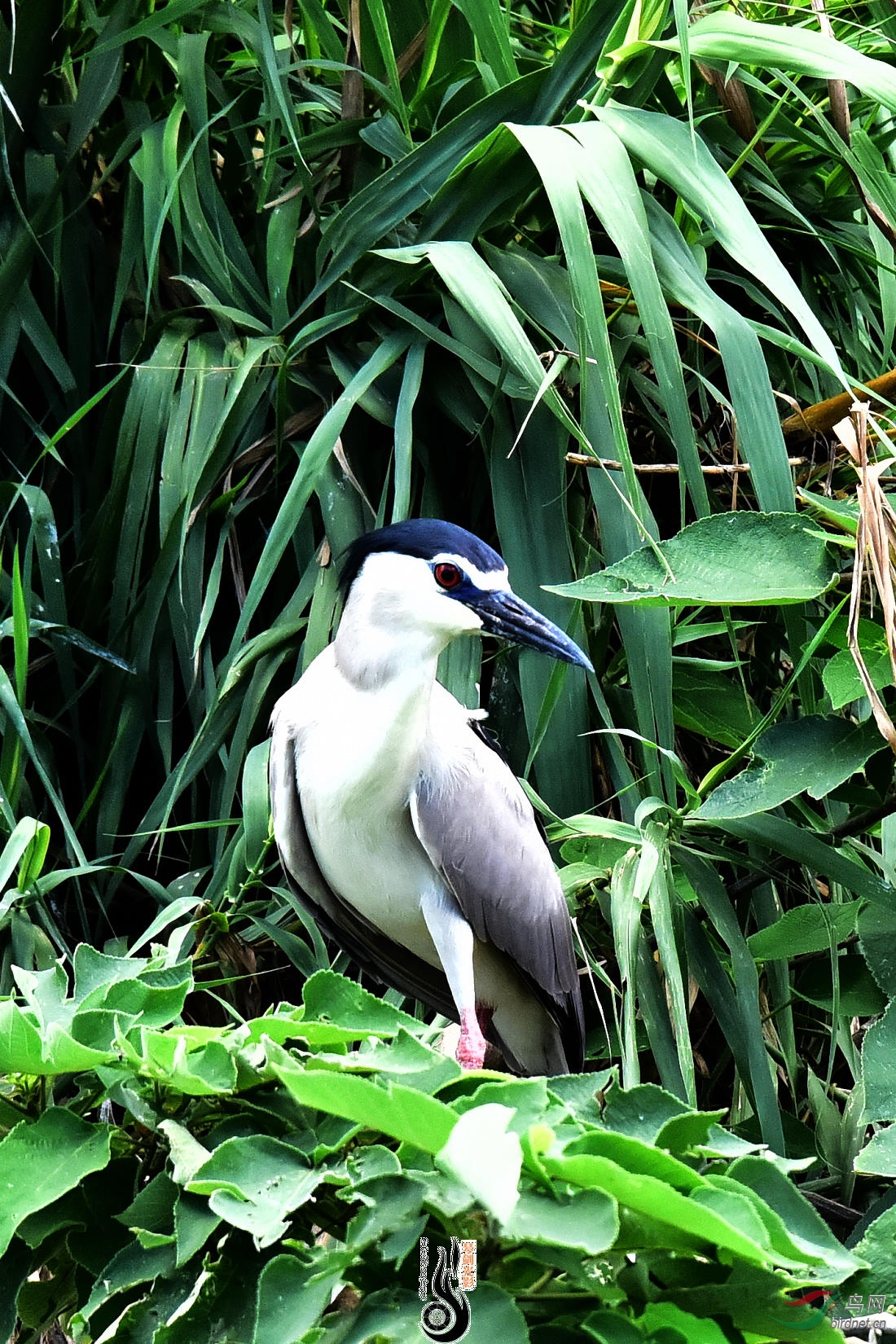 DSC_3723.JPG