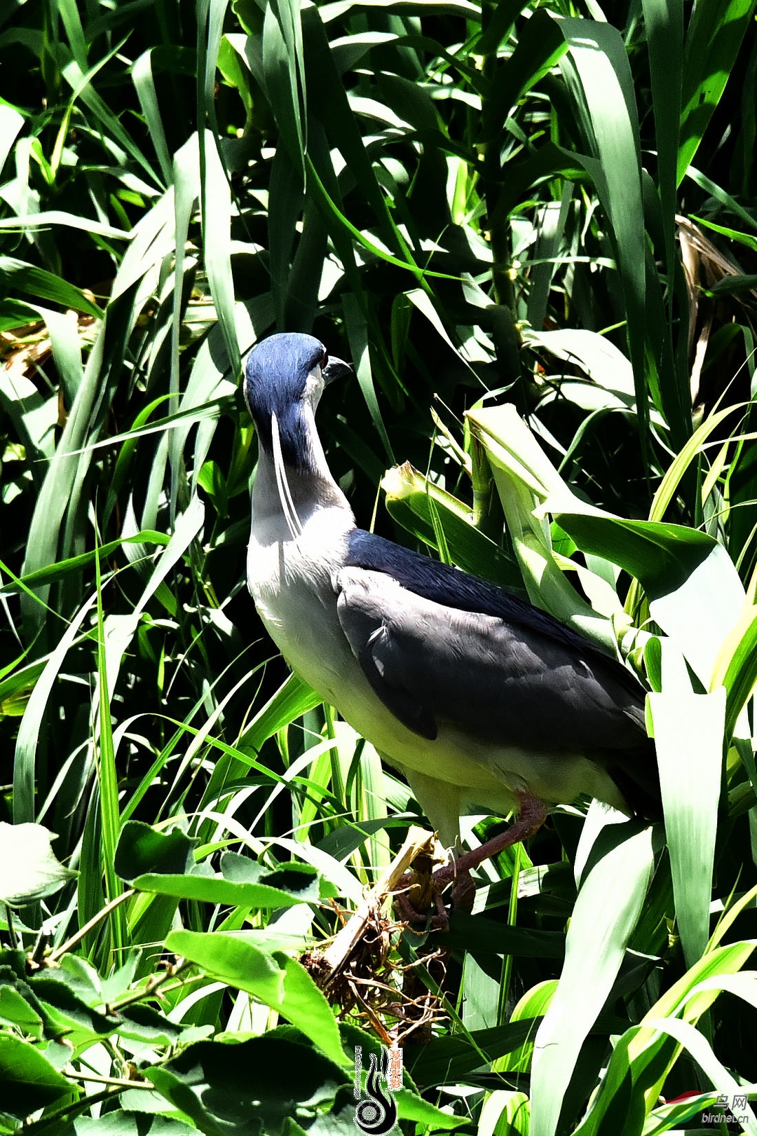 DSC_3734.JPG