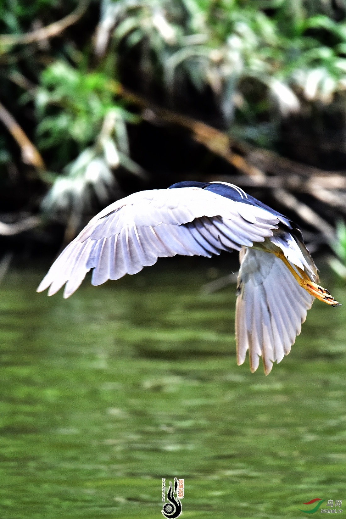 DSC_3767.JPG