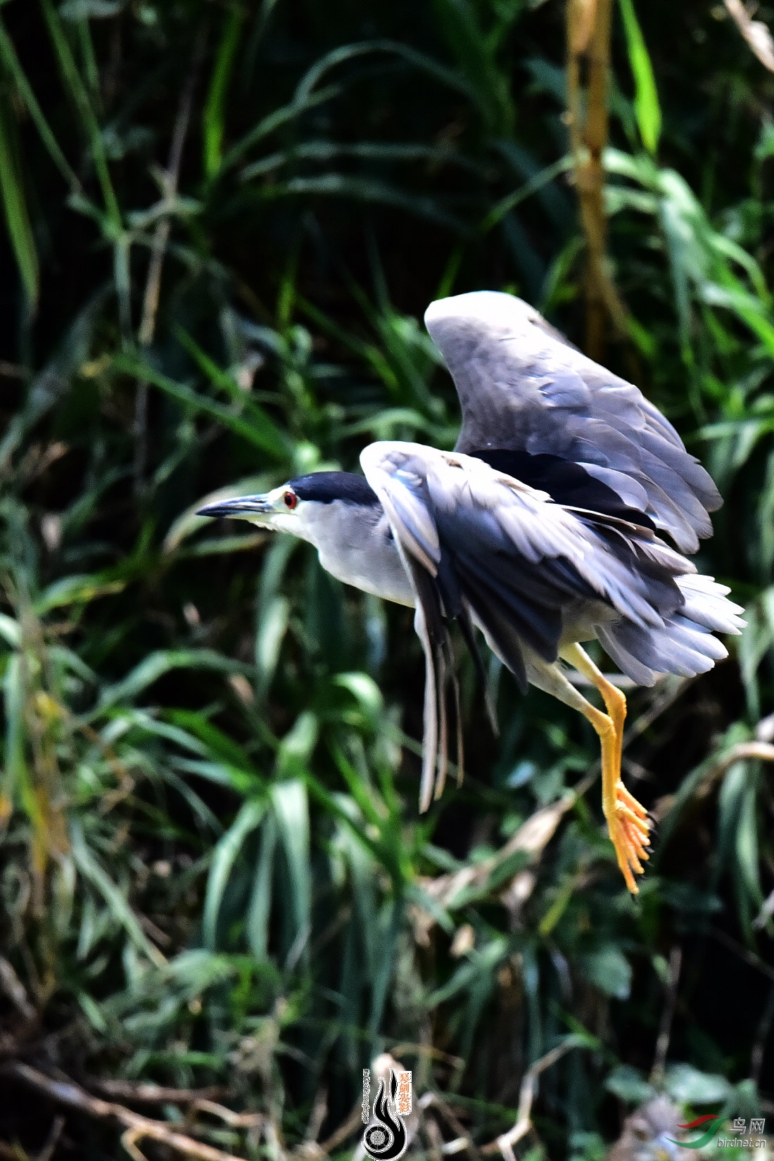 DSC_3768.JPG