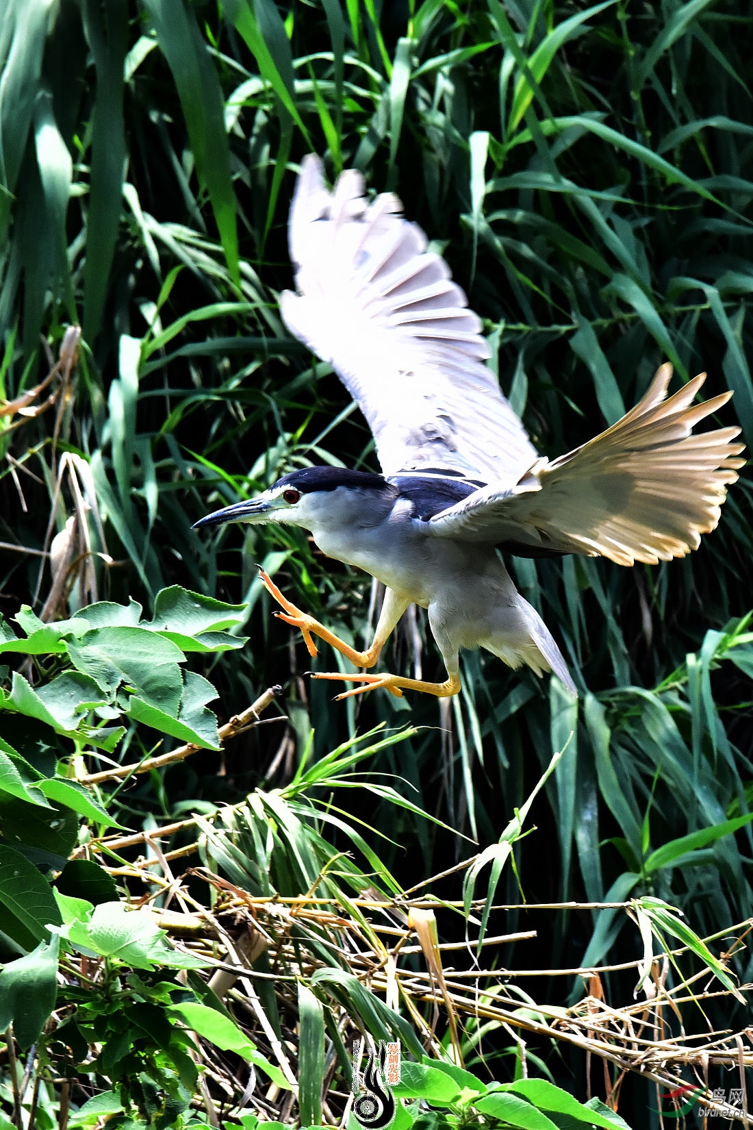 DSC_3769.JPG