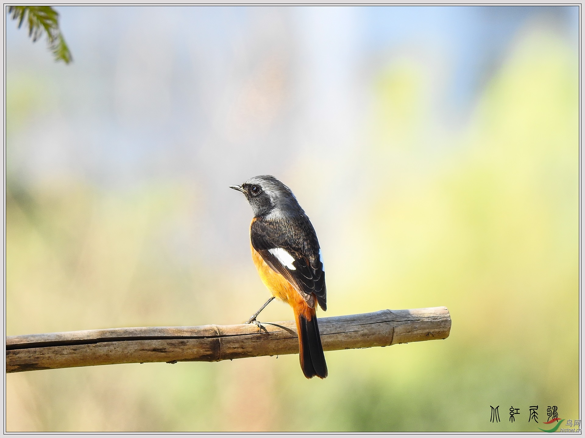DSCN0183.jpg