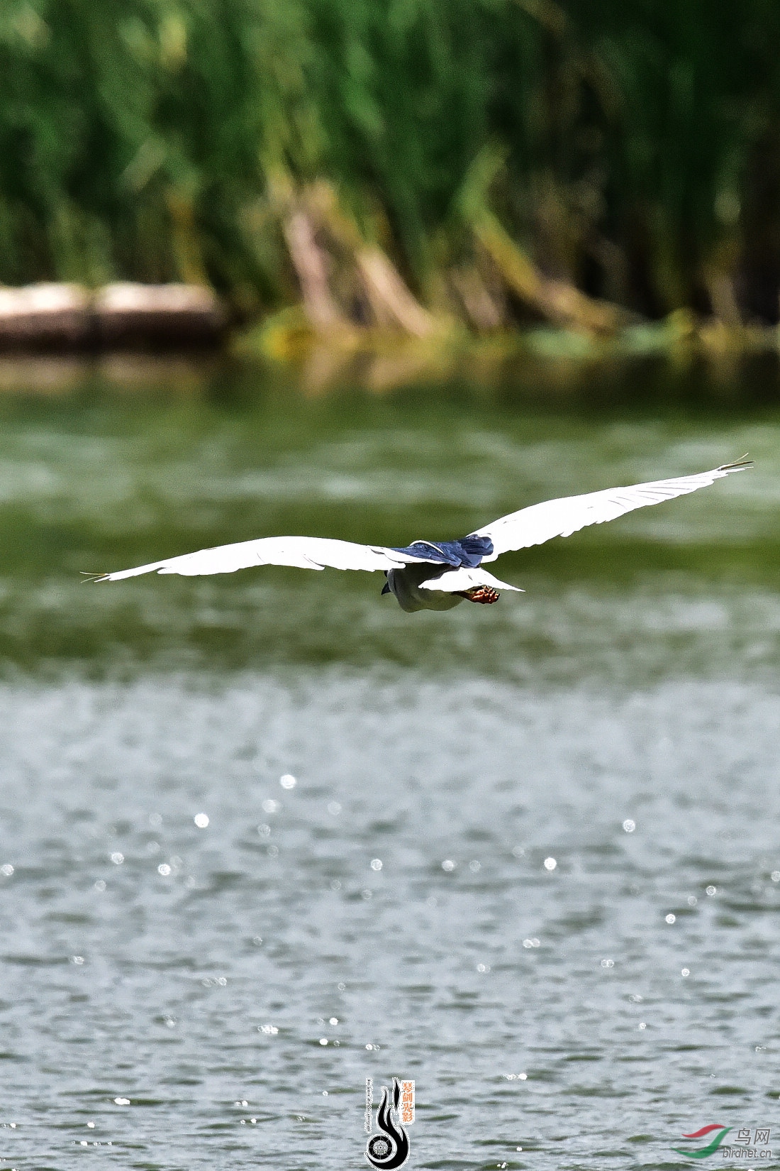 DSC_3785.JPG