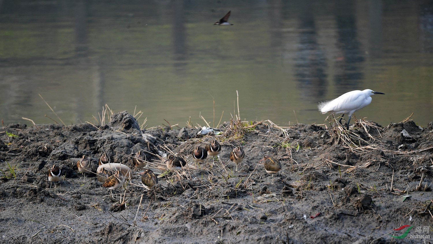 DSC_7096_����_DxO (����).jpg