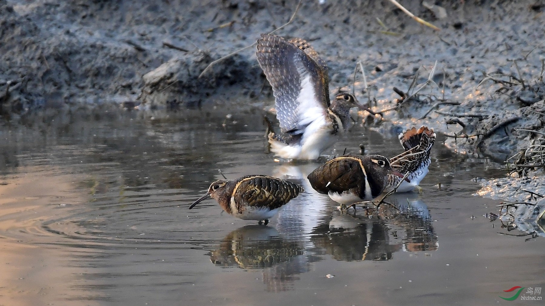 DSC_7351_����_DxO (����).jpg