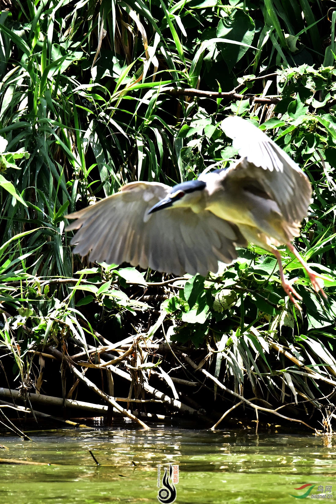 DSC_3819.JPG