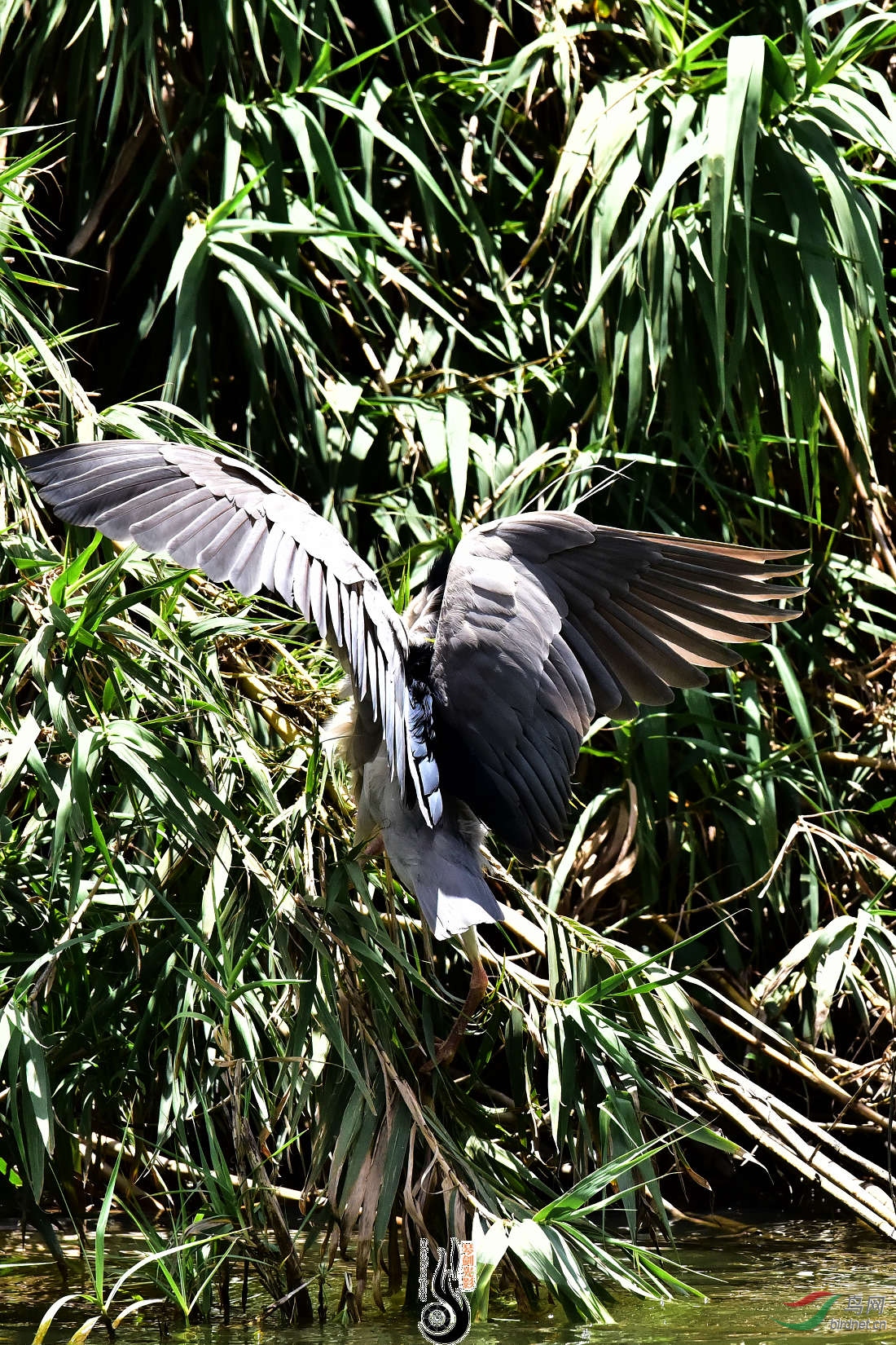 DSC_3826.JPG