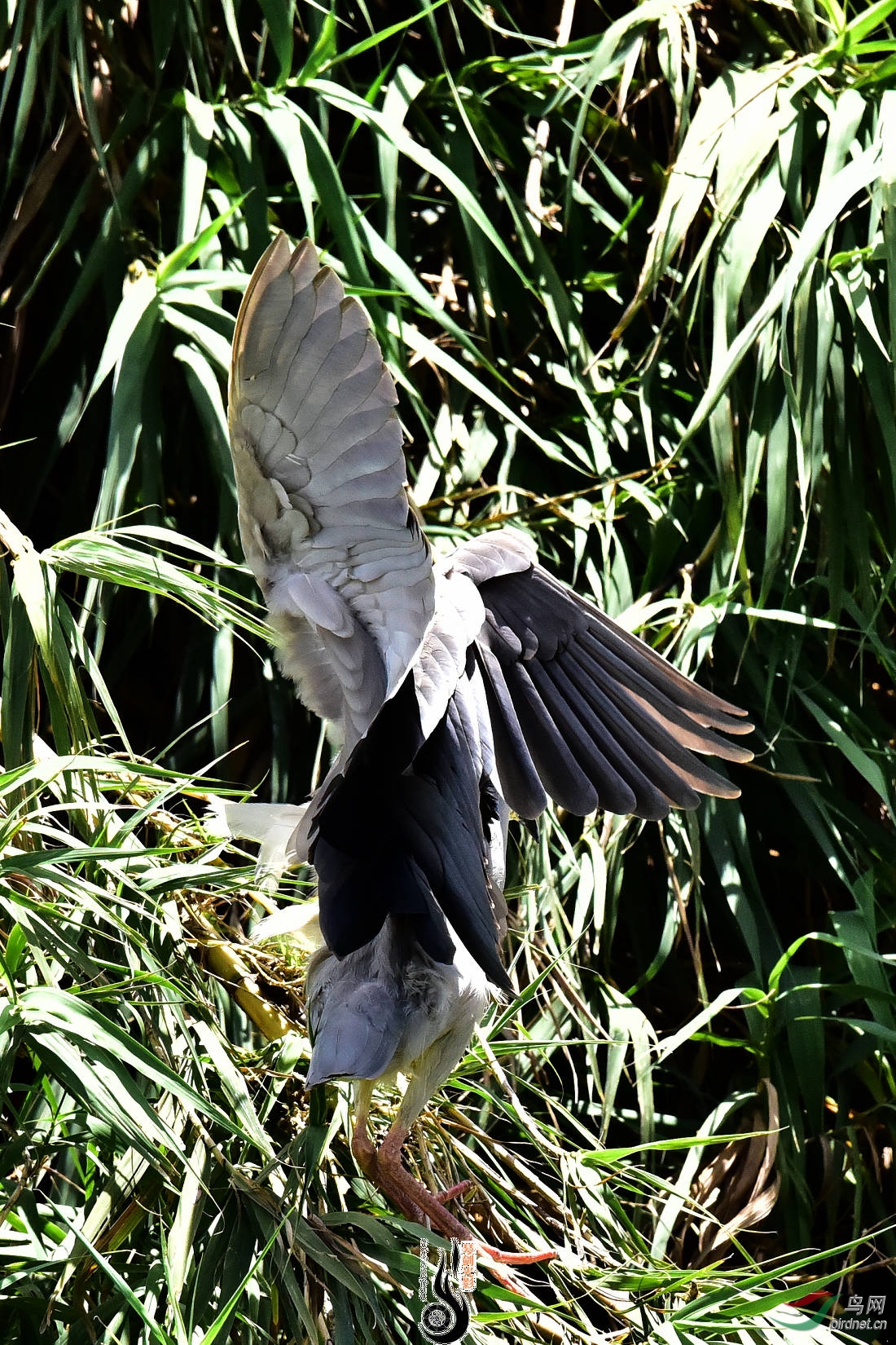 DSC_3827.JPG