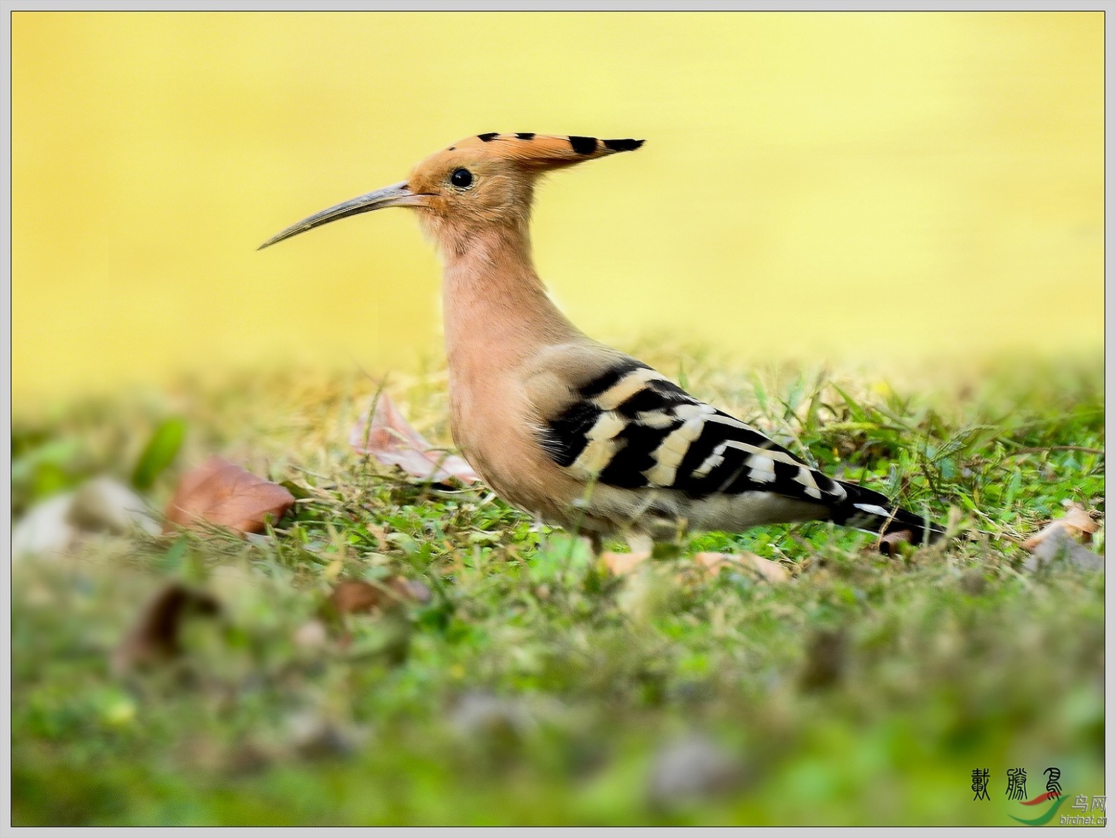 ��Щ��8��