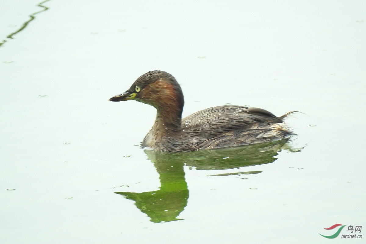 DSCN4562.JPG
