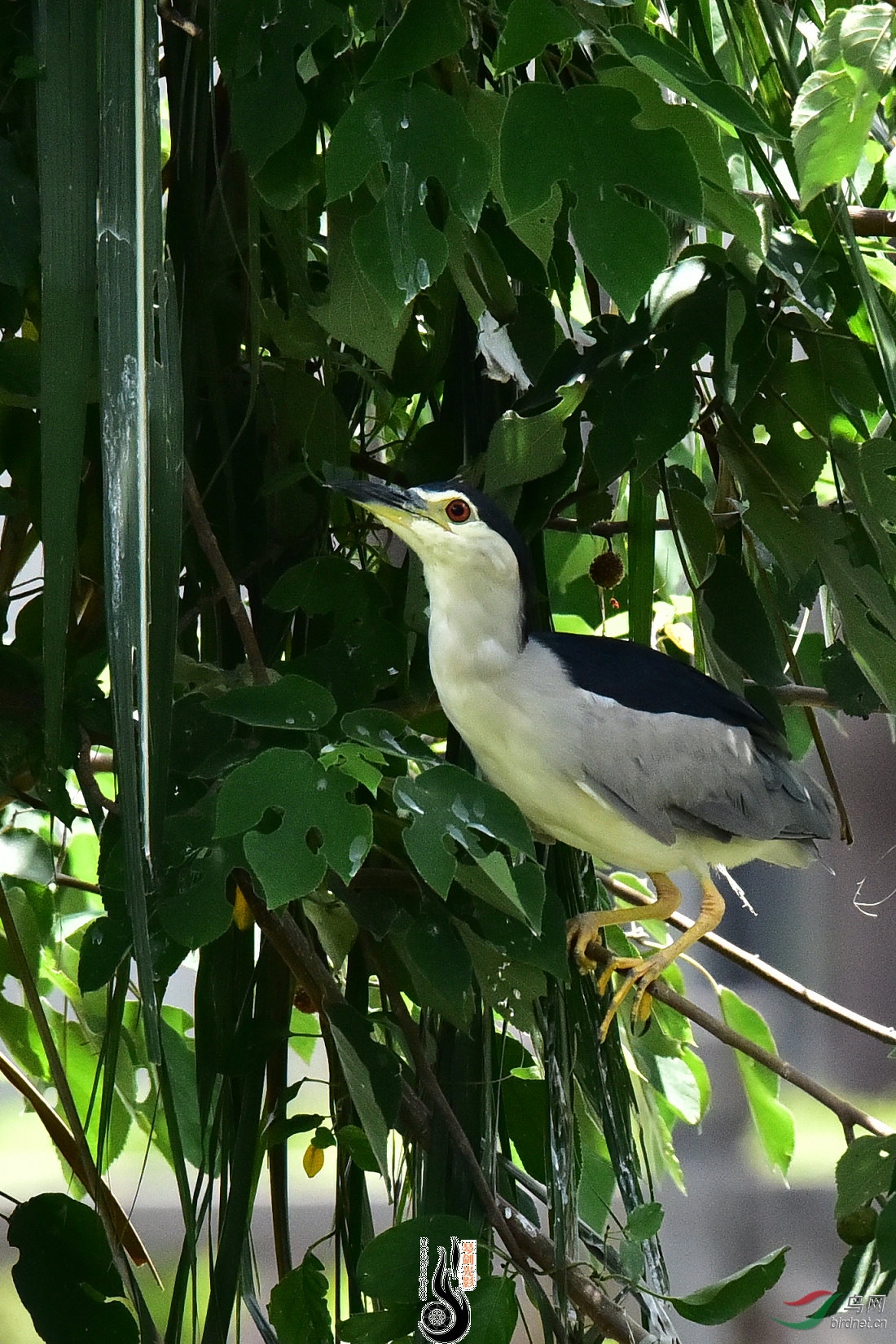 DSC_3831.JPG