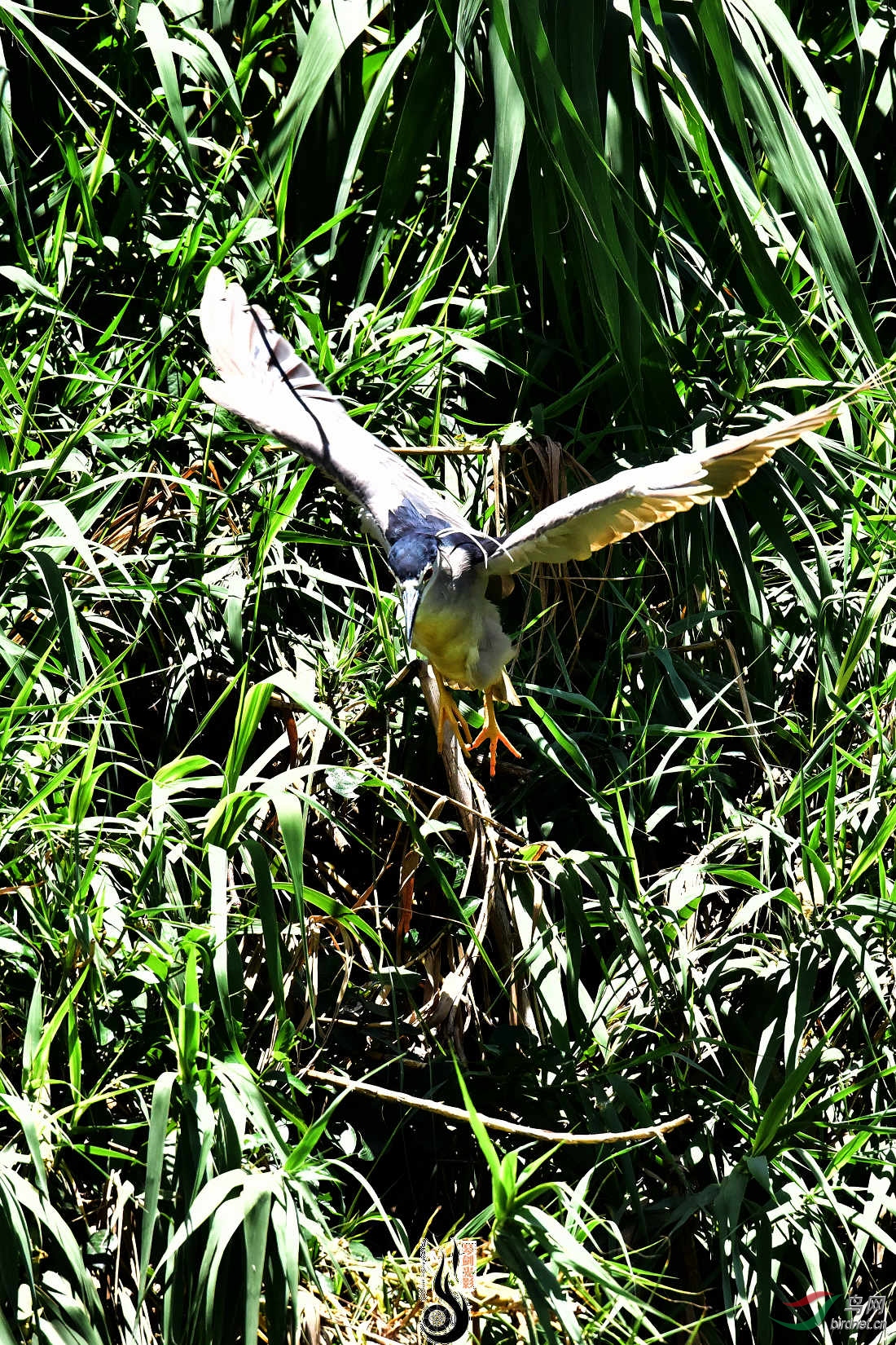 DSC_3810.JPG
