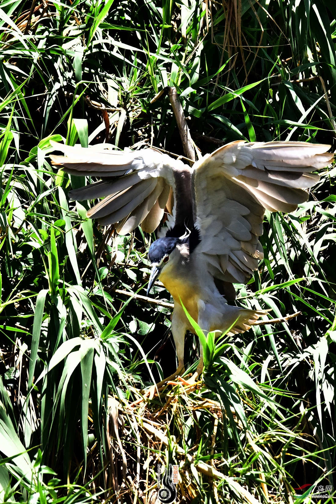 DSC_3812.JPG