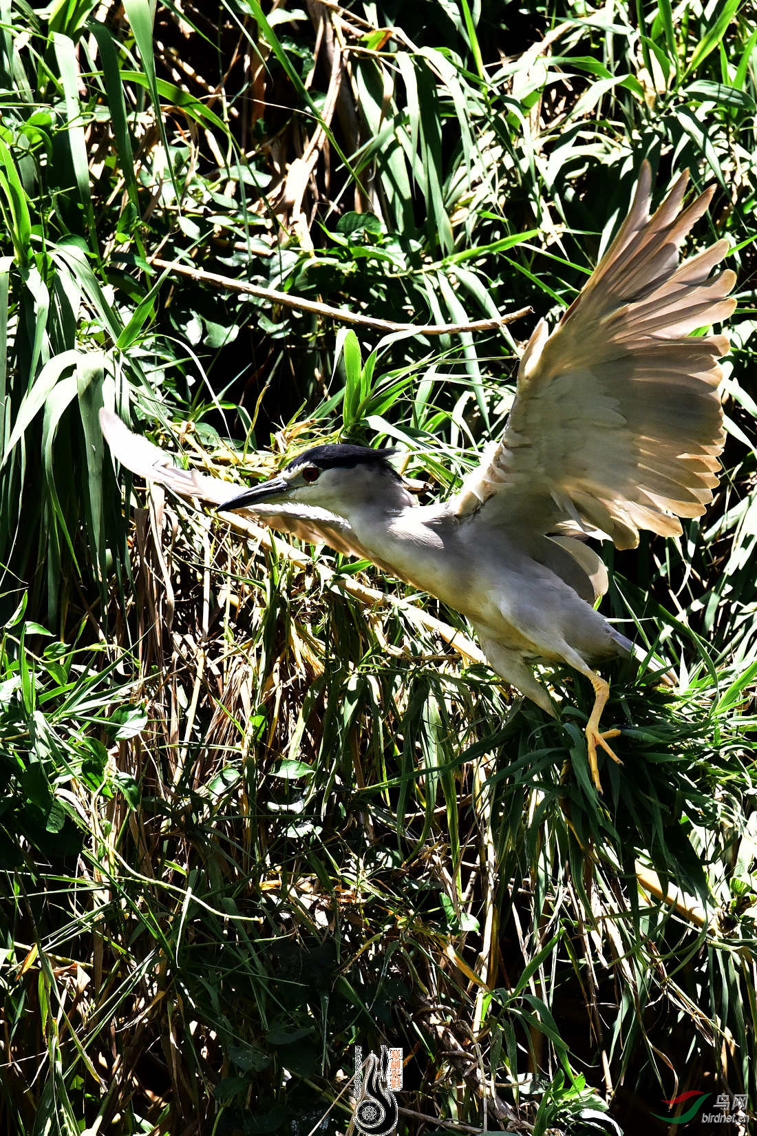 DSC_3813.JPG