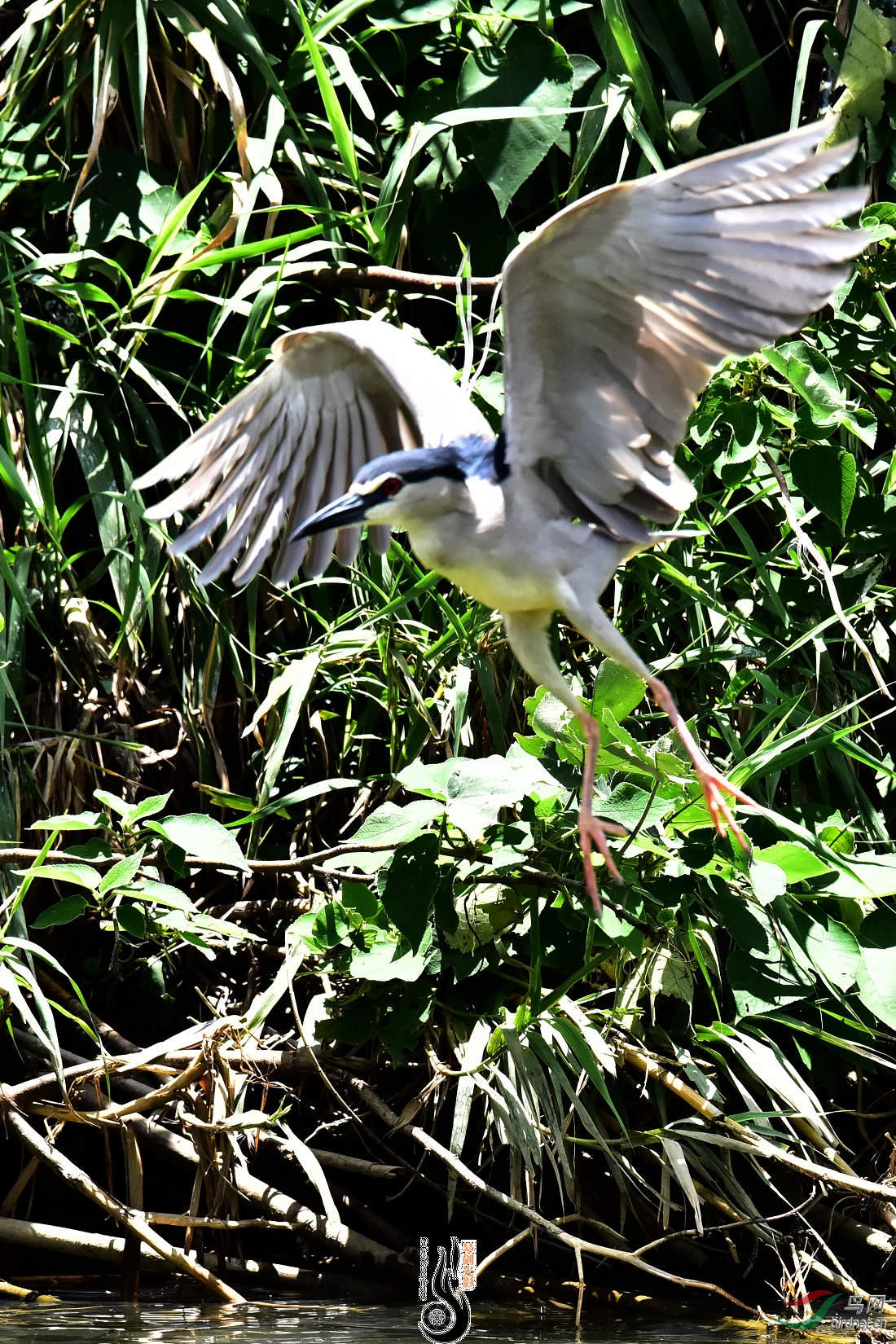 DSC_3818.JPG
