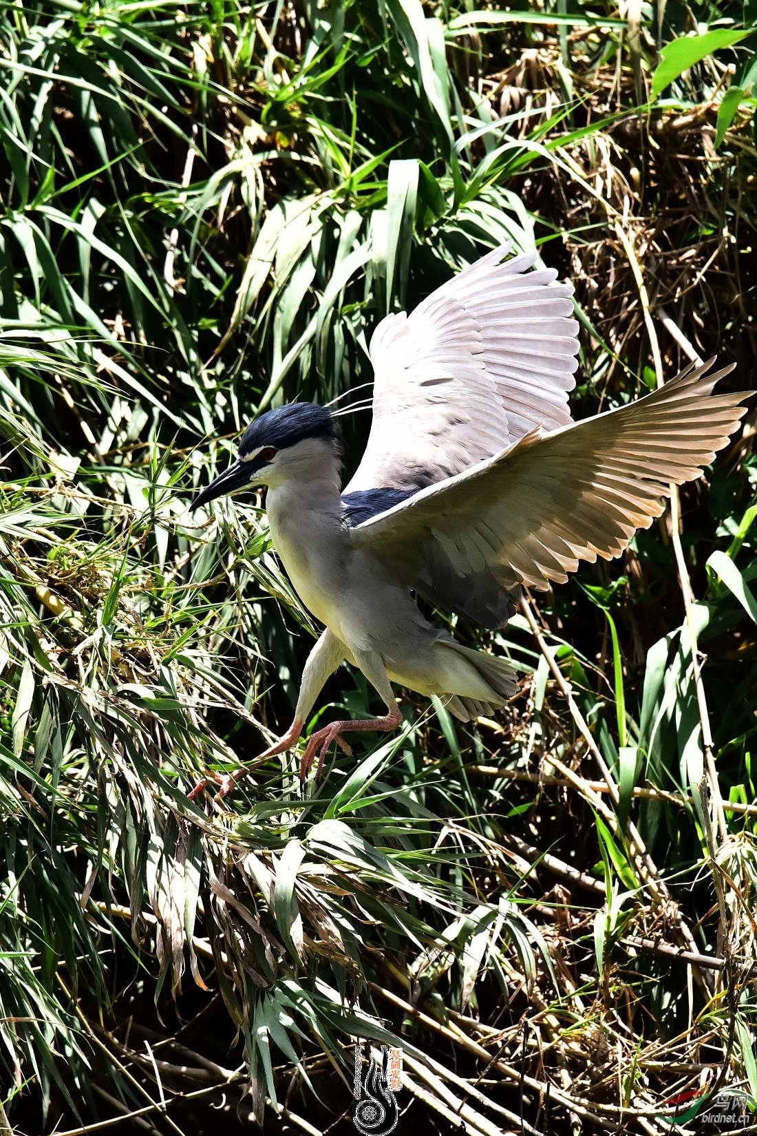 DSC_3825.JPG