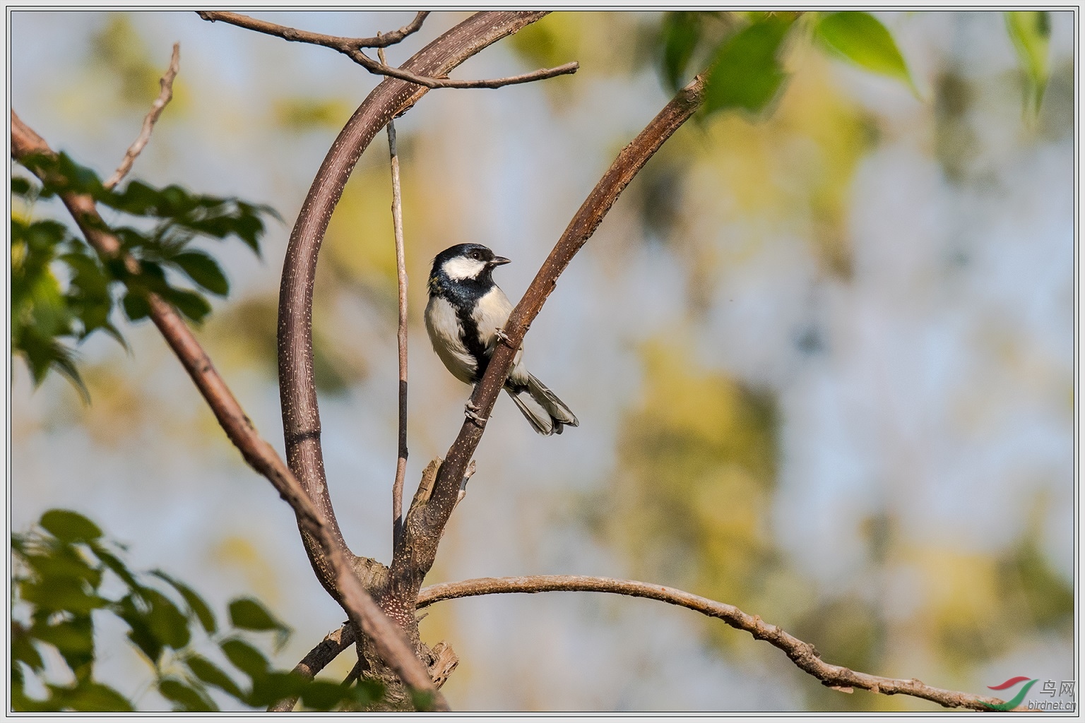 �������ɽȸ10��