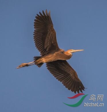 QQ��ͼ20181030141628.jpg