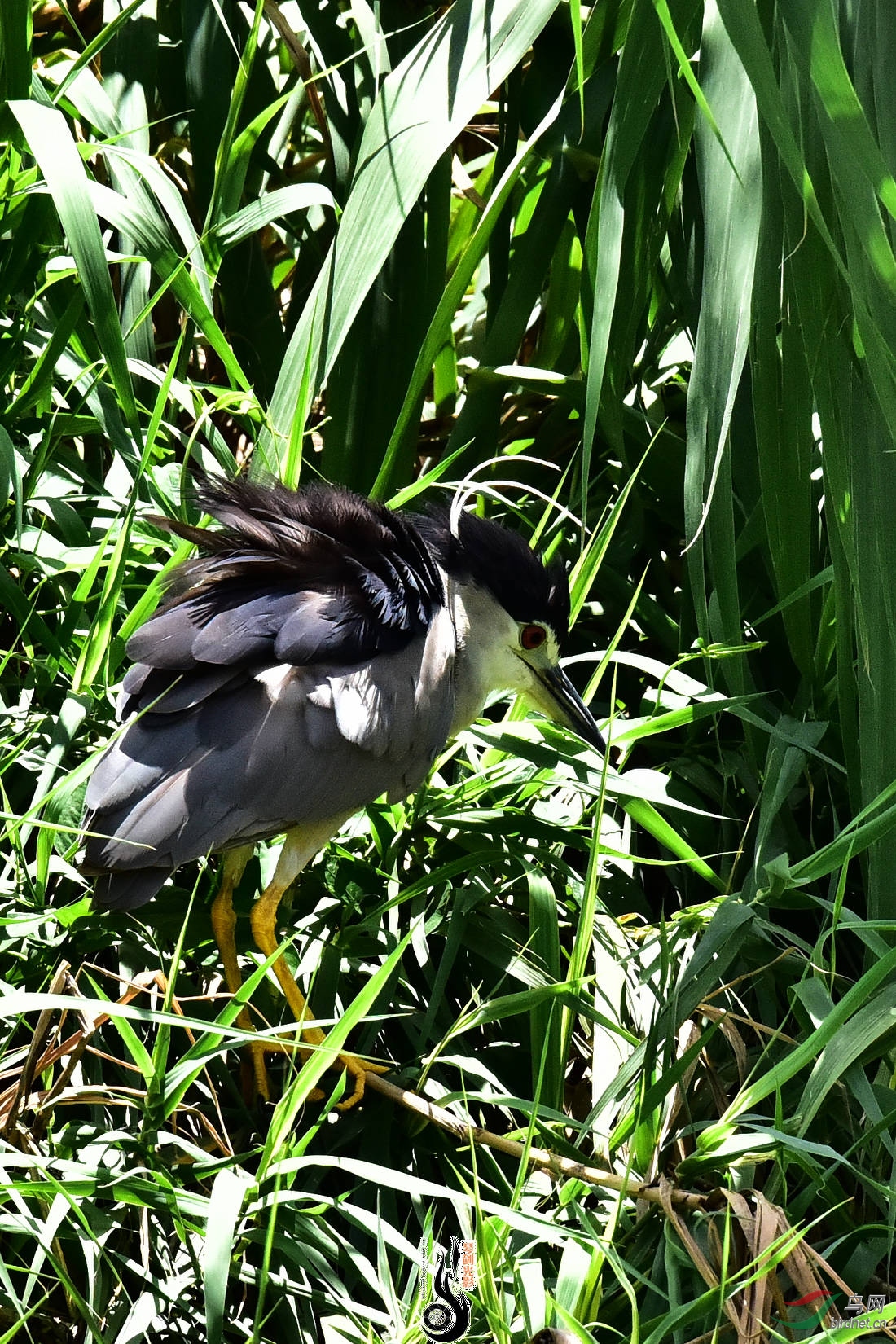 DSC_3839.JPG