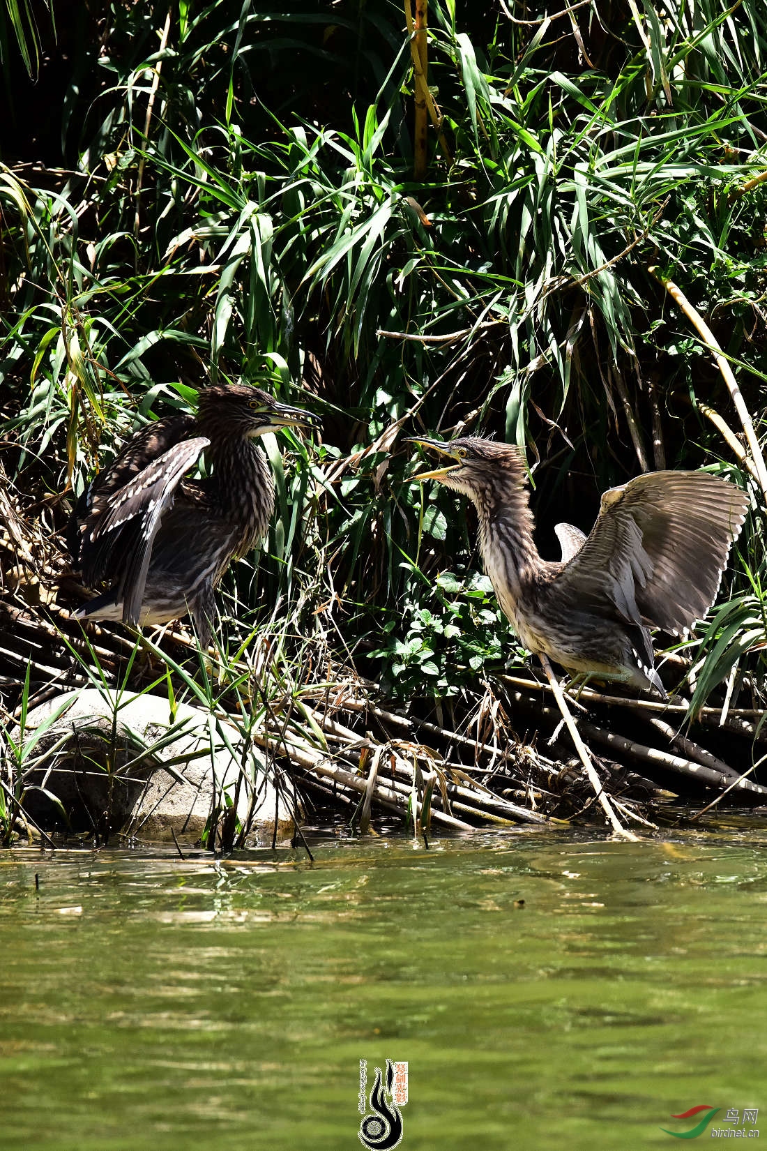 DSC_3851.JPG