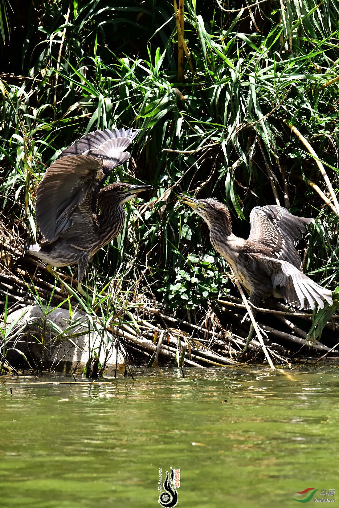 DSC_3857.JPG