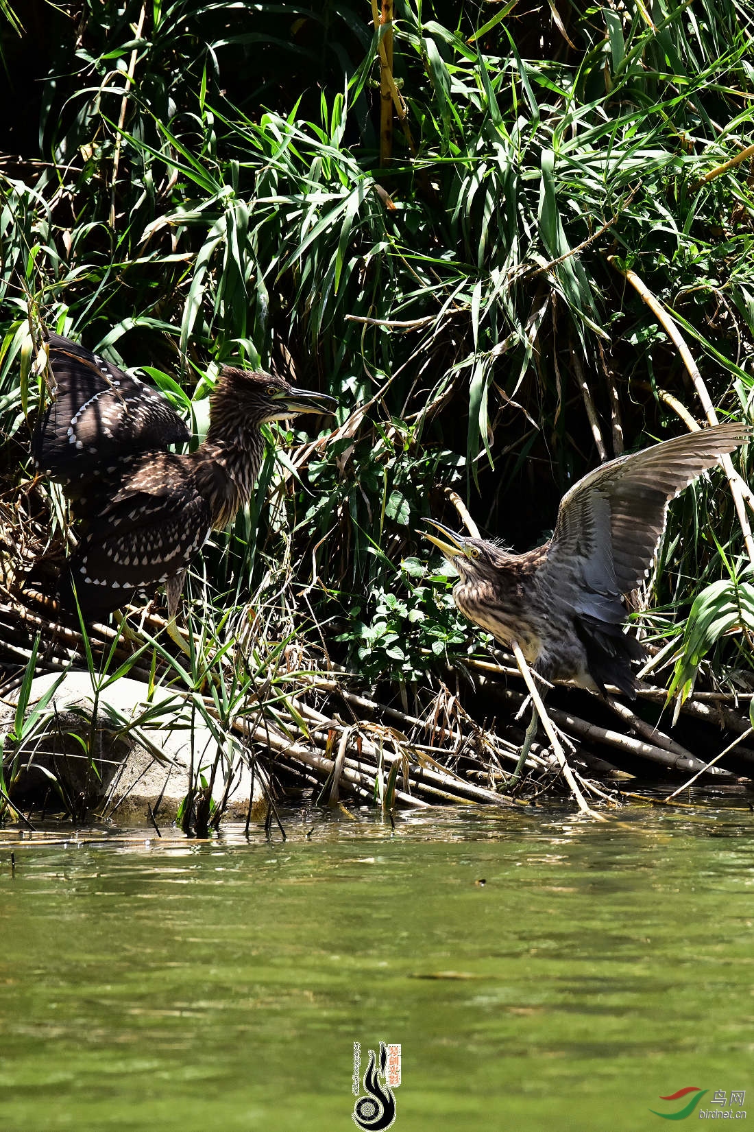 DSC_3863.JPG