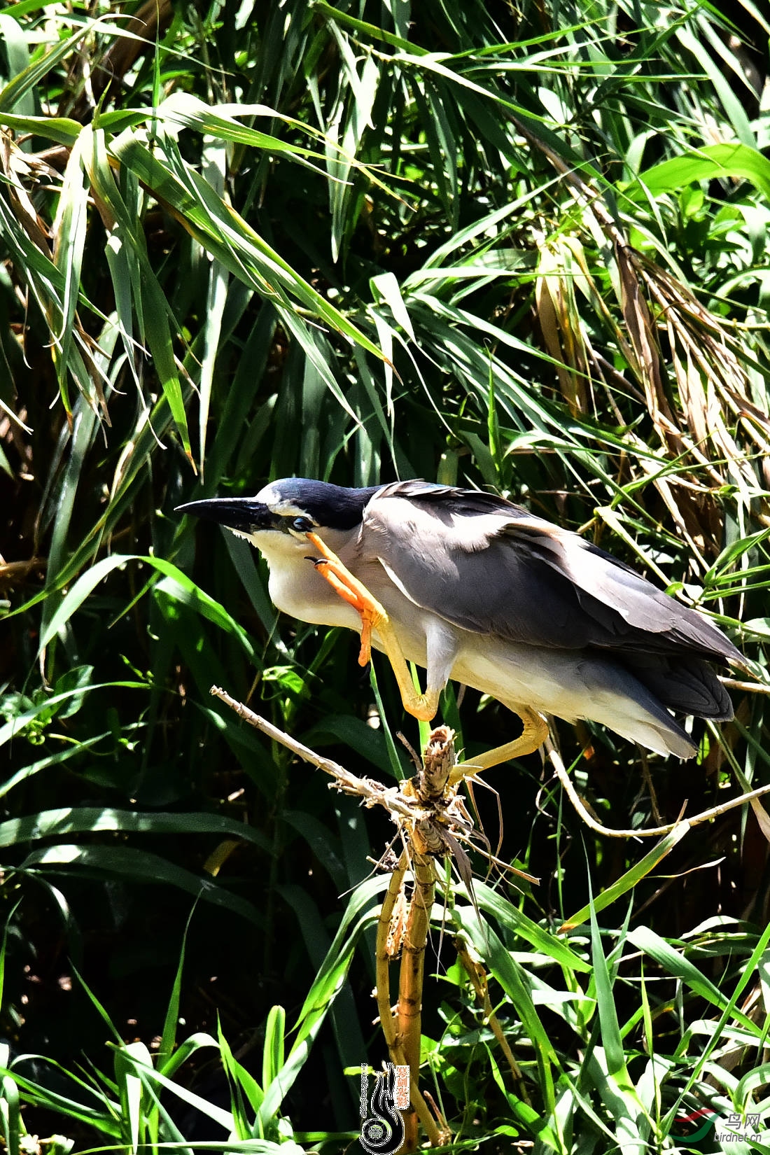 DSC_3871.JPG