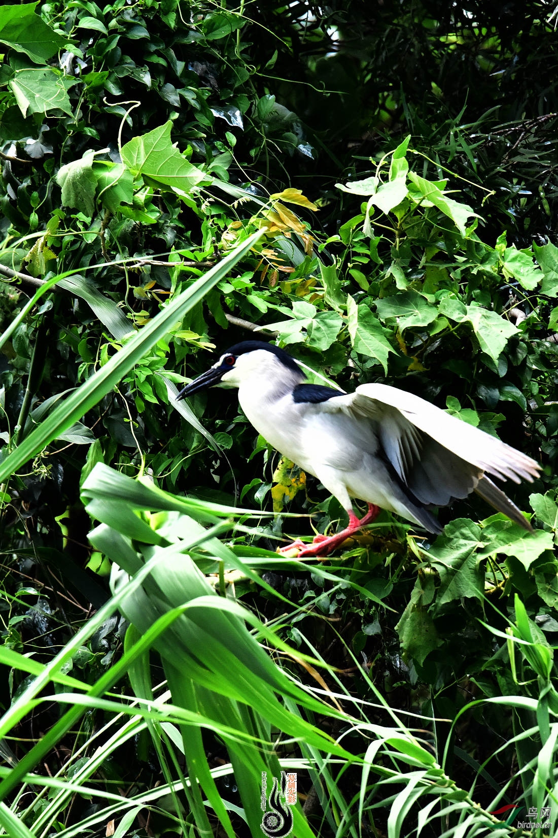 DSC_3873.JPG