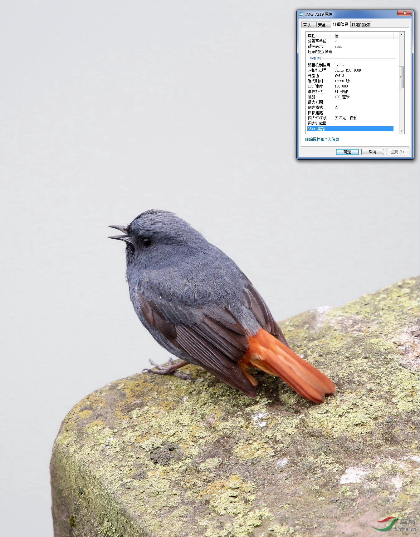 �����2�㷽��