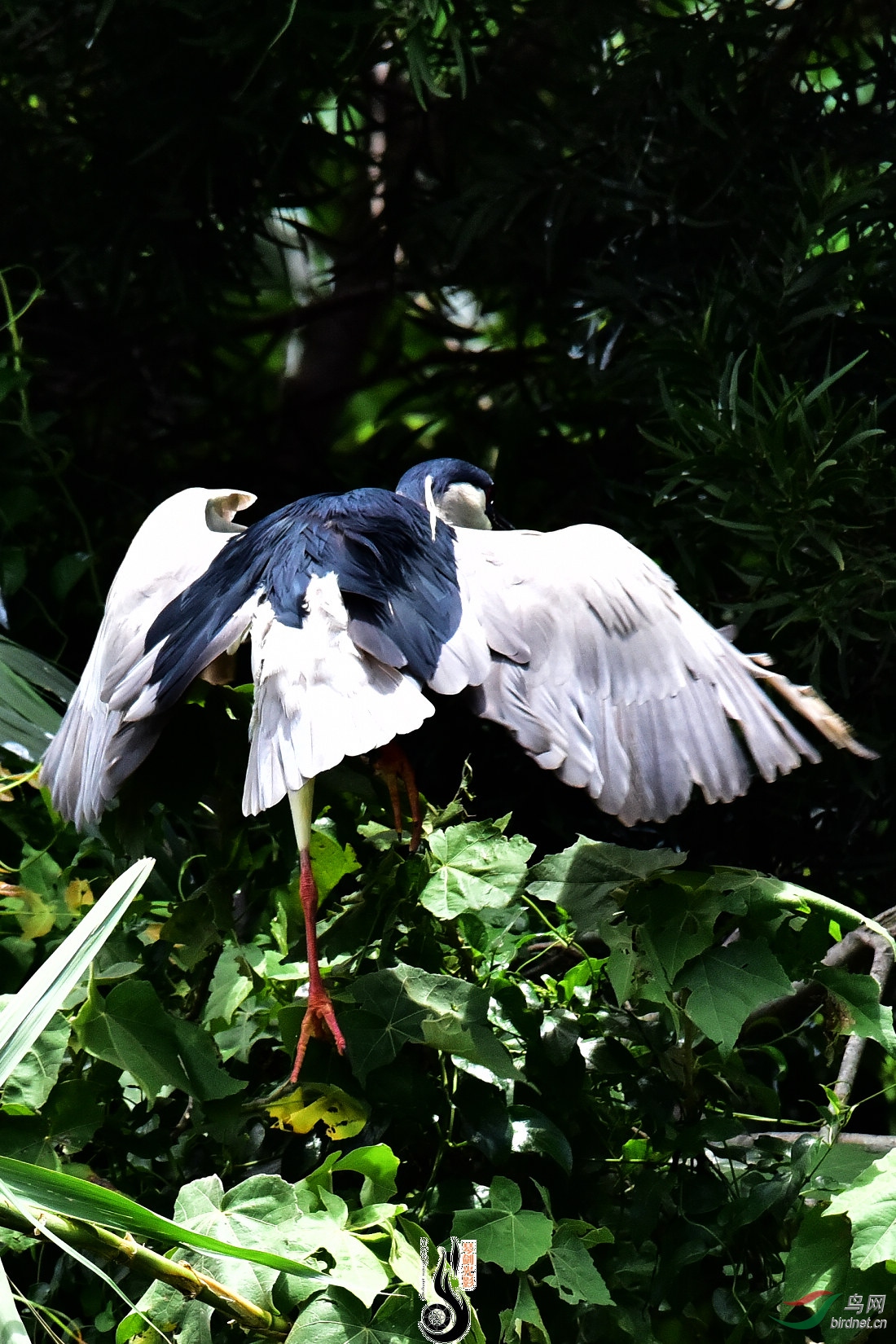 DSC_3885.JPG